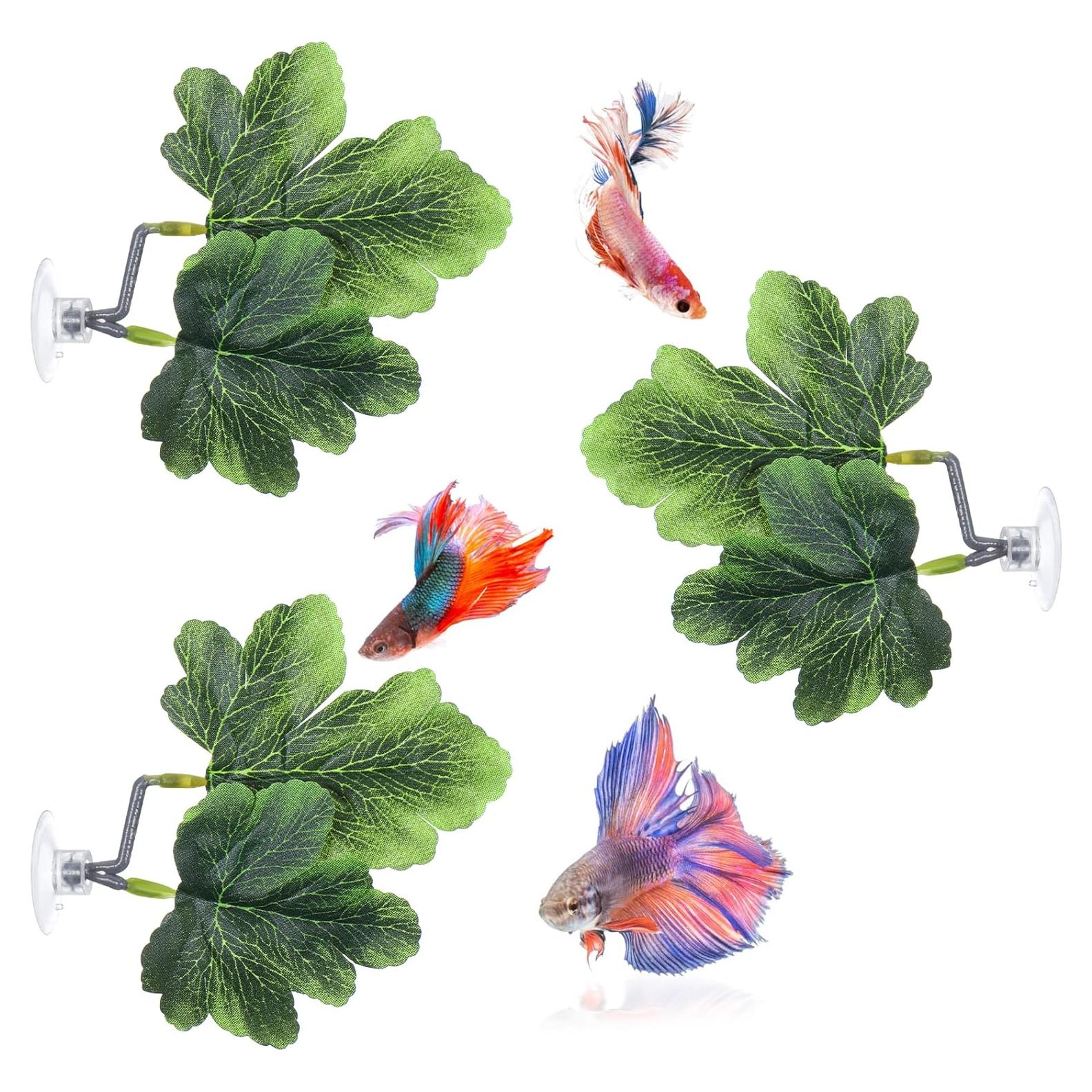 3 Hamacas de Hoja Betta FdcZeyxior Verde para Acuario