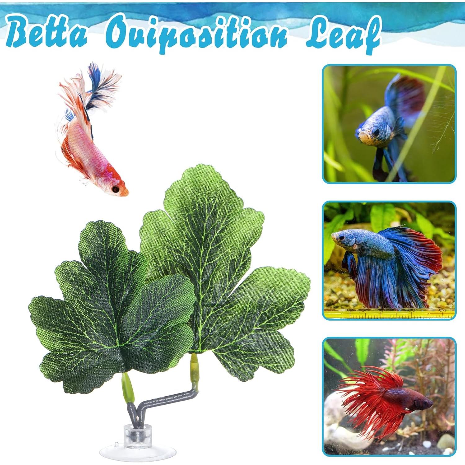 3 Hamacas de Hoja Betta FdcZeyxior Verde para Acuario