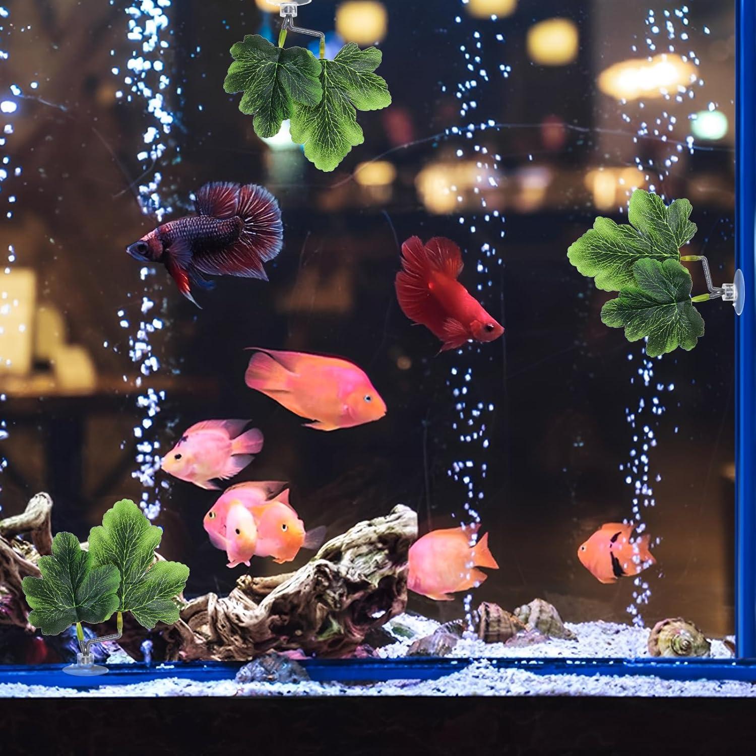 3 Hamacas de Hoja Betta FdcZeyxior Verde para Acuario