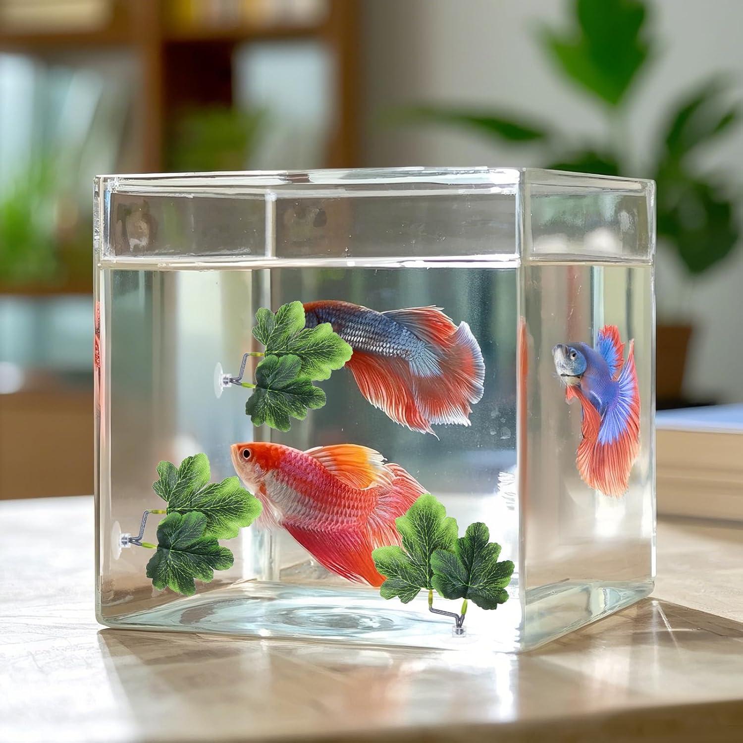 3 Hamacas de Hoja Betta FdcZeyxior Verde para Acuario