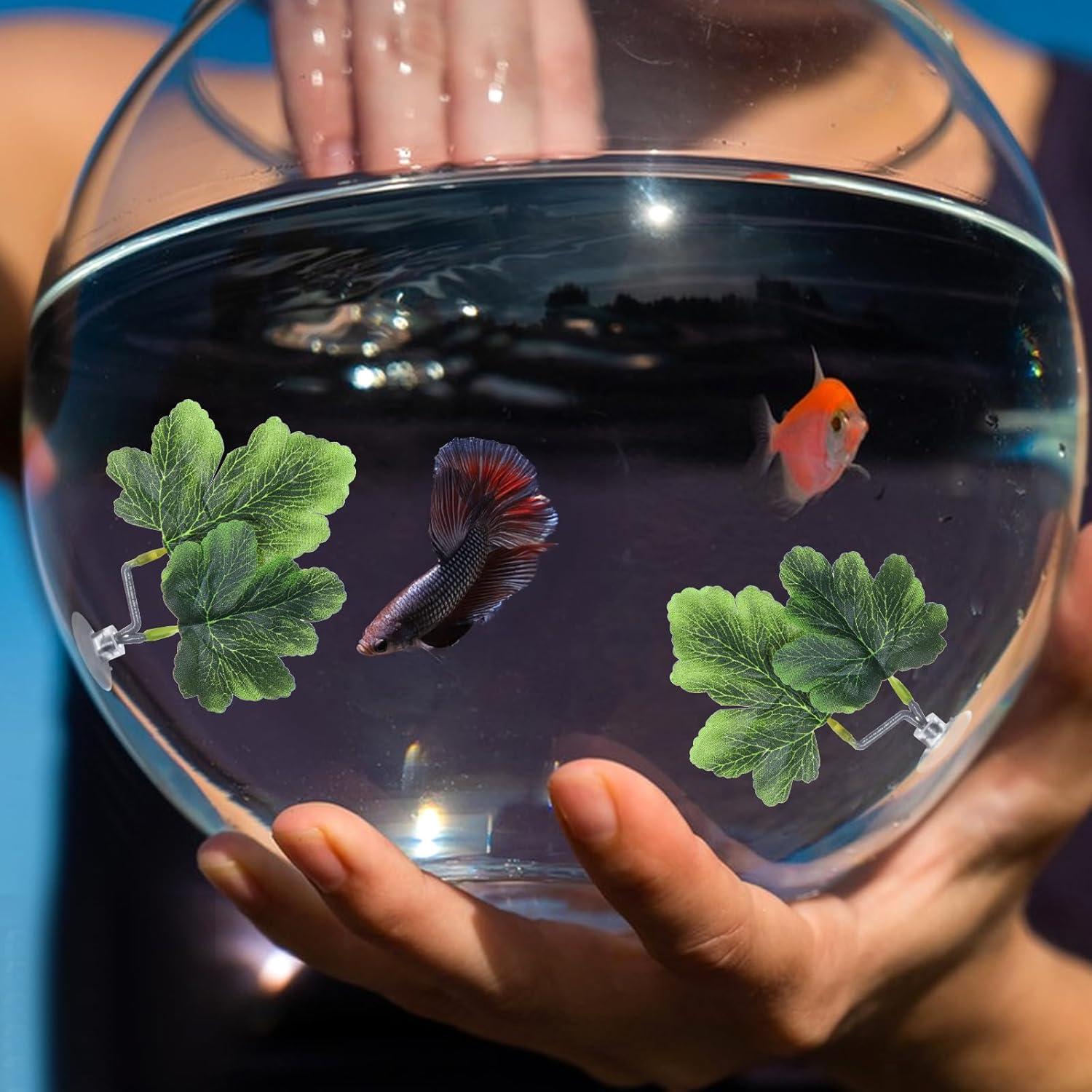 3 Hamacas de Hoja Betta FdcZeyxior Verde para Acuario