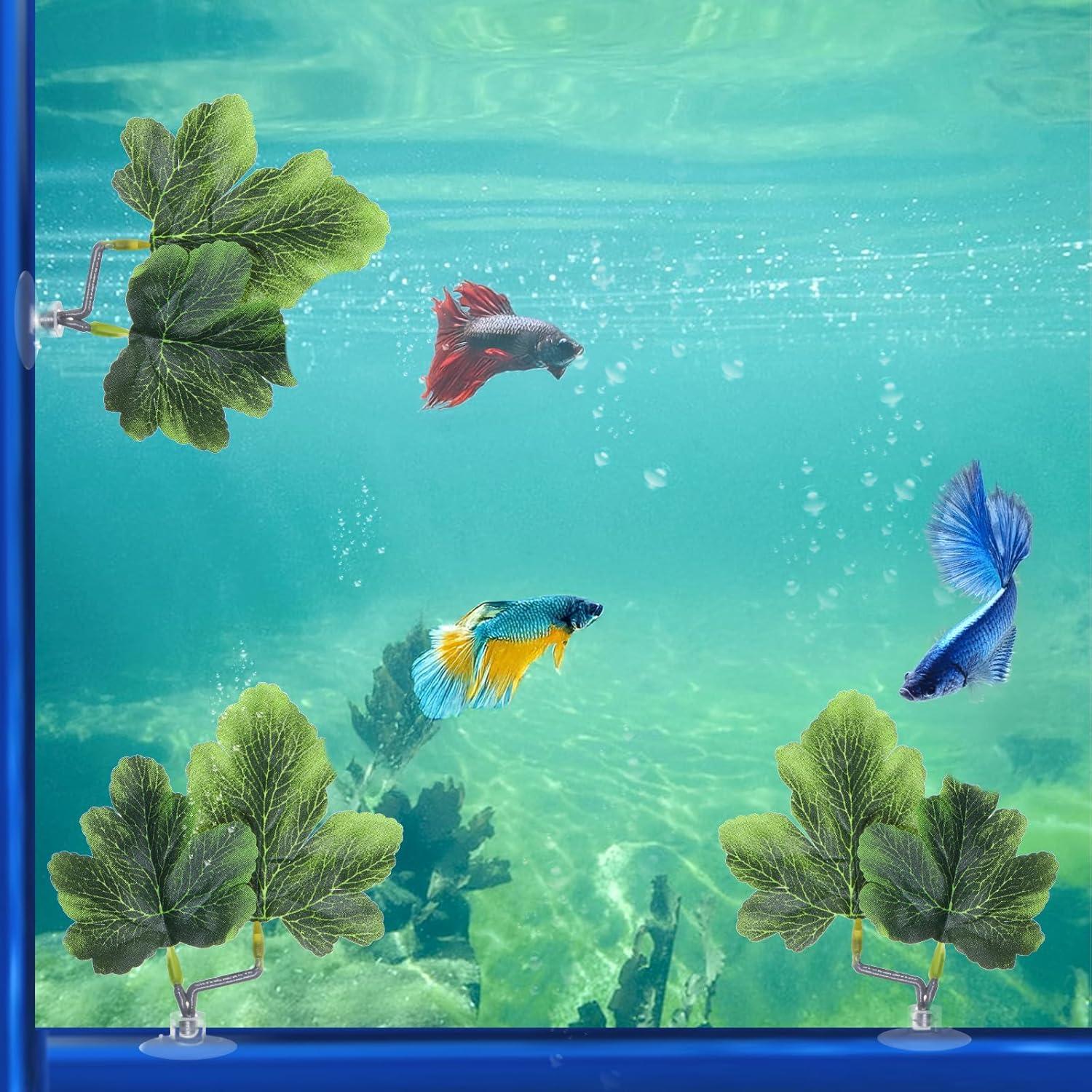 3 Hamacas de Hoja Betta FdcZeyxior Verde para Acuario