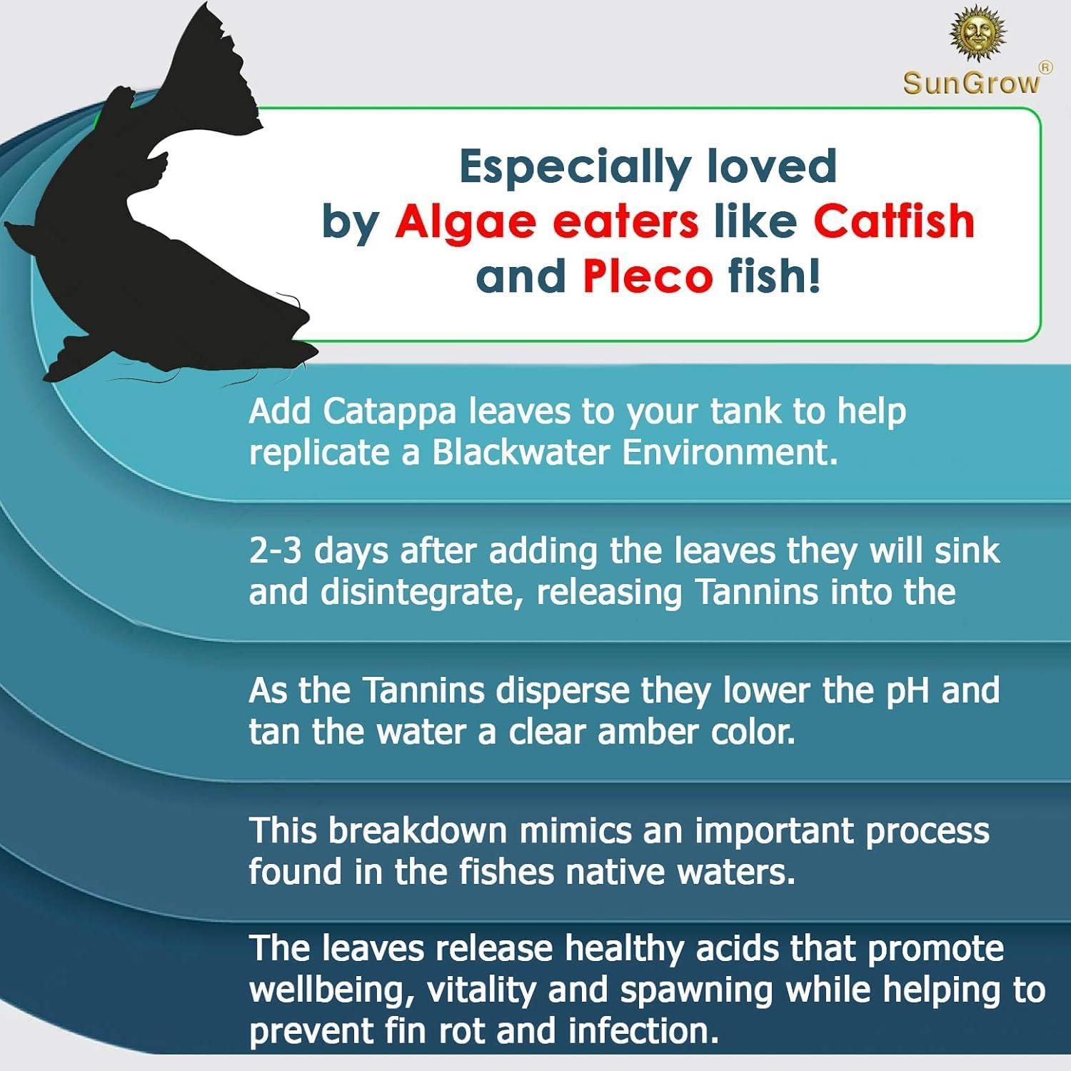 Hojas de Almendra India SunGrow para Acuario - Paquete de 10