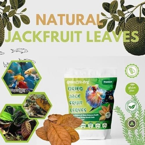 Hojas Secas de Jackfruit GreenLife - 40 Hojas para Acuario