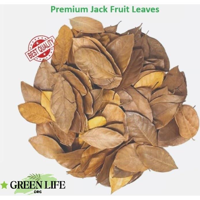 Hojas Secas de Jackfruit GreenLife - 40 Hojas para Acuario