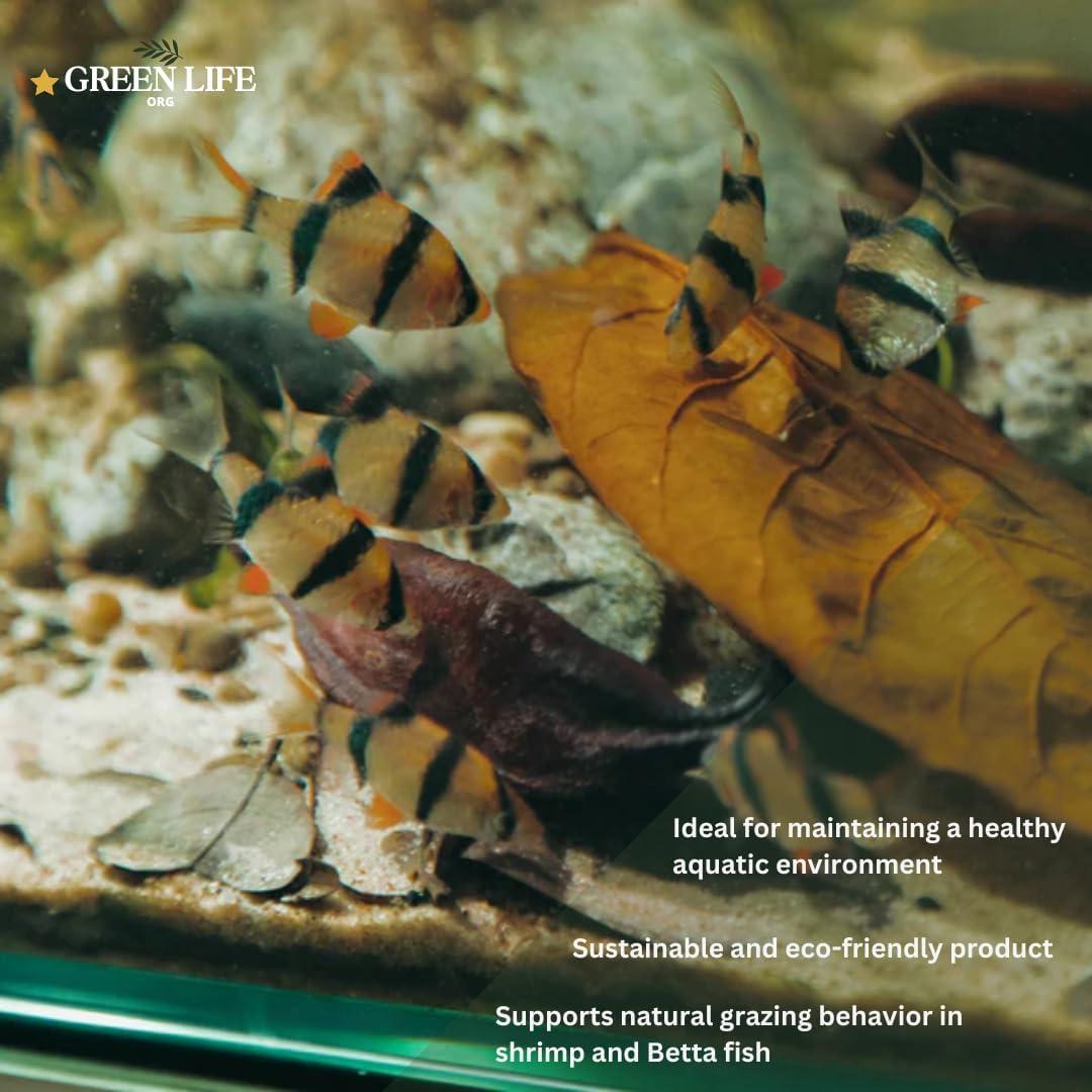 Hojas Secas de Jackfruit GreenLife - 40 Hojas para Acuario