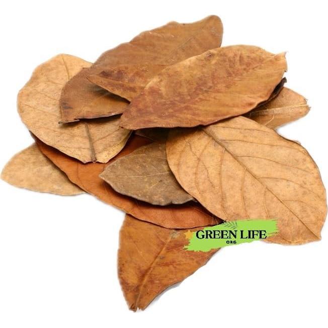 Hojas Secas de Jackfruit GreenLife - 40 Hojas para Acuario