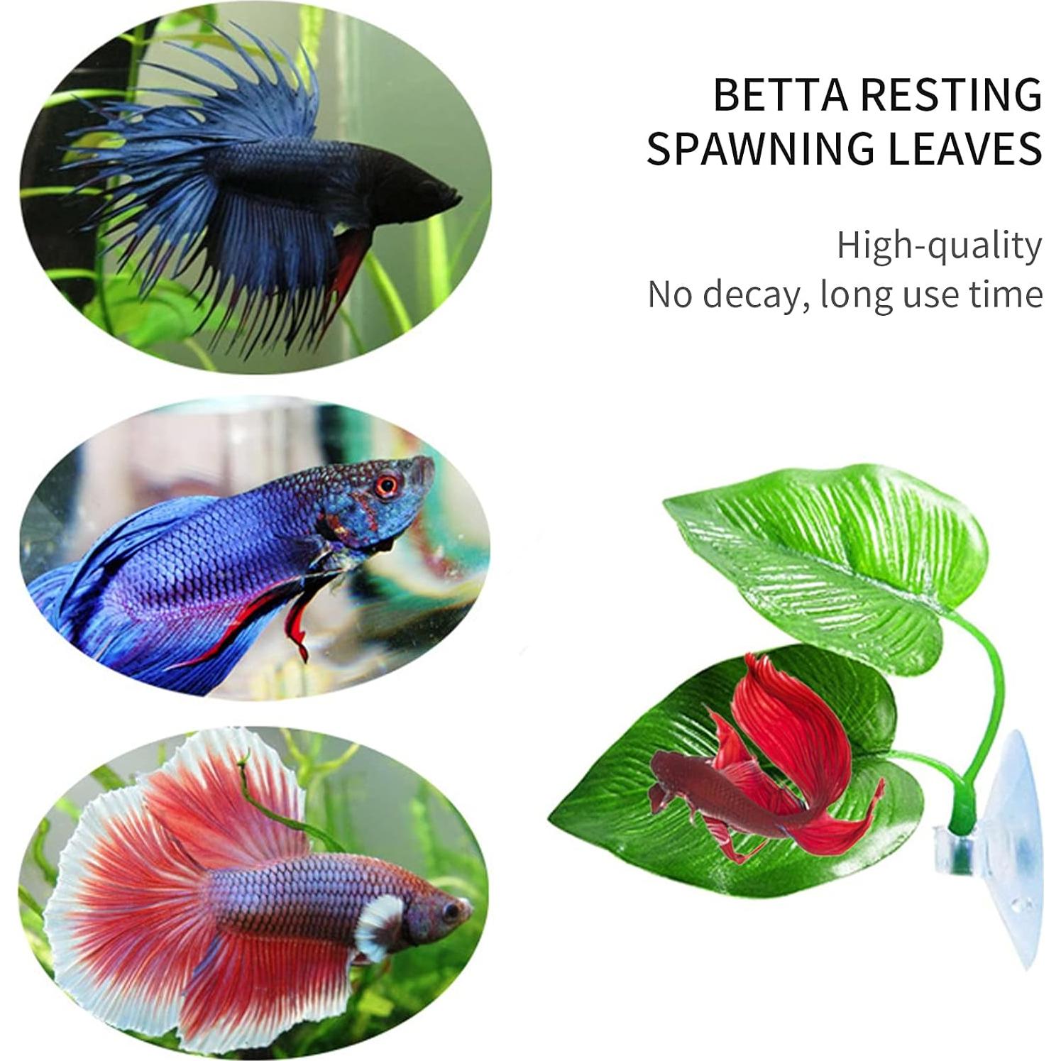 Hojas de descanso para peces Betta Zickupy - 2 piezas