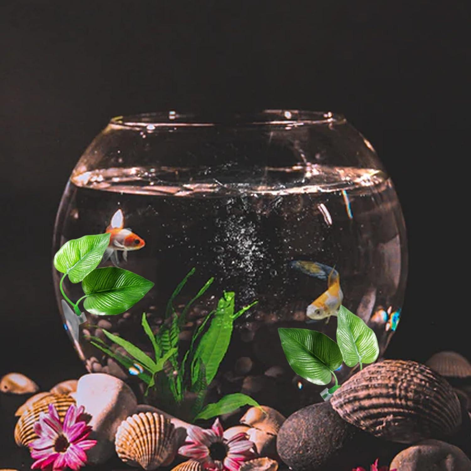 Hojas de descanso para peces Betta Zickupy - 2 piezas