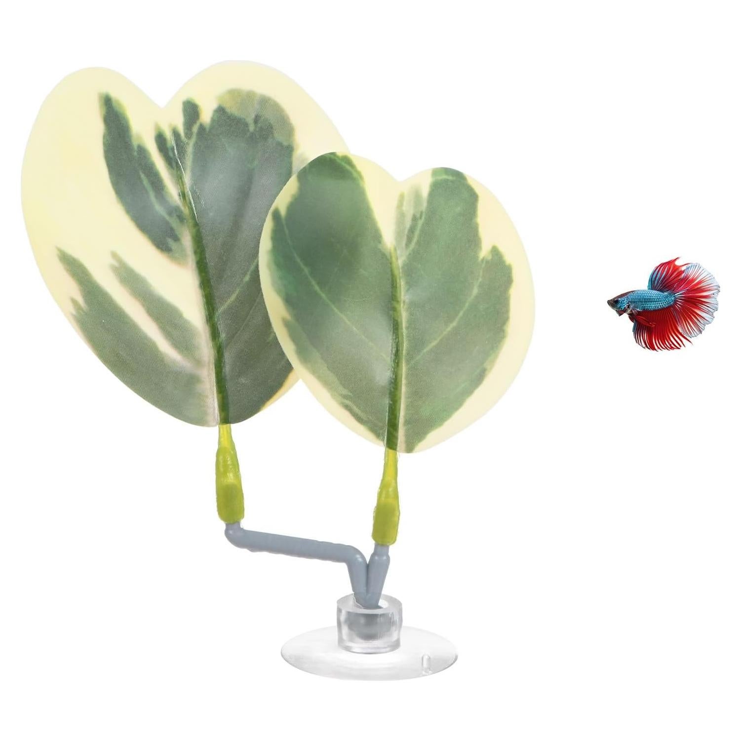 Almohadilla de Hoja para Peces Betta M METERXITY 85x110mm