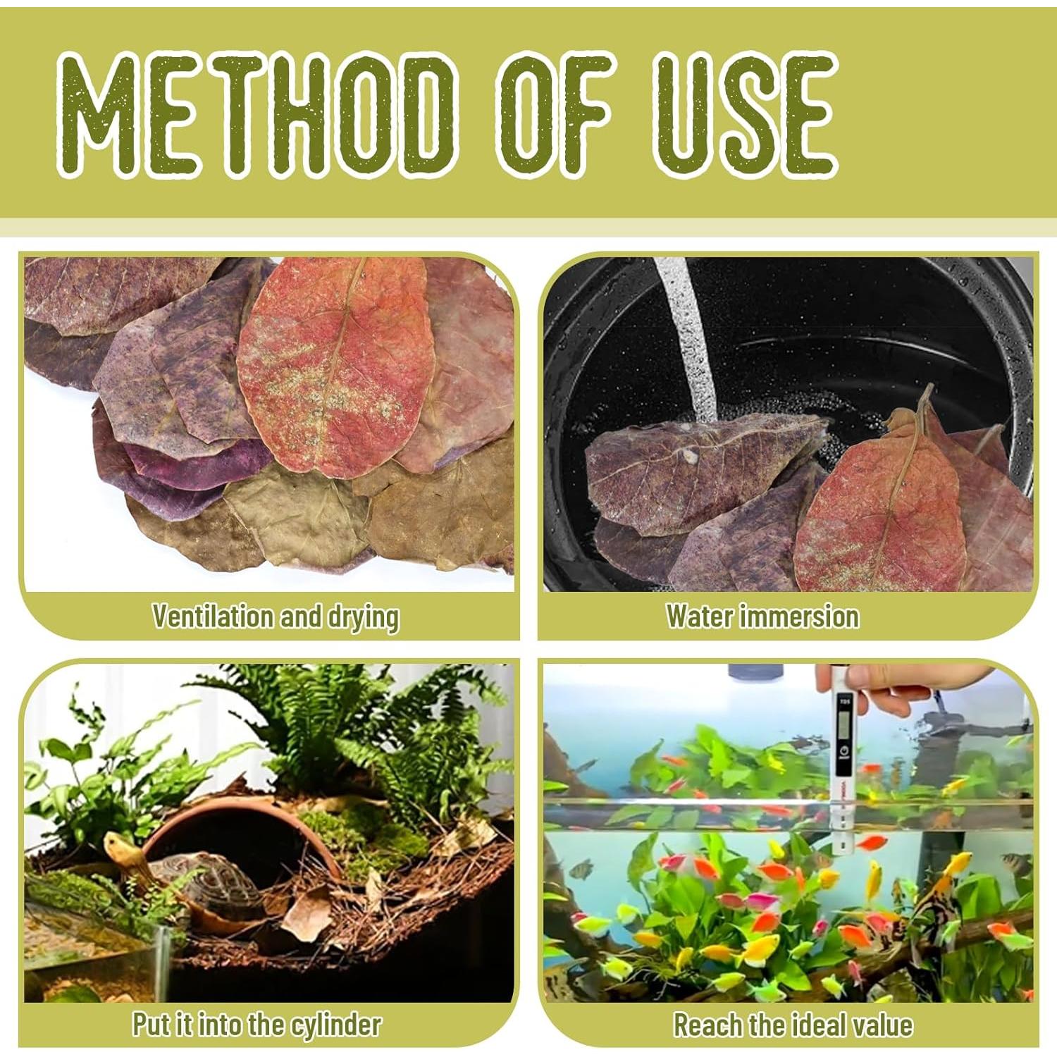 100 Hojas de Catappa Naturales para Peces LeonBach 5-8 cm