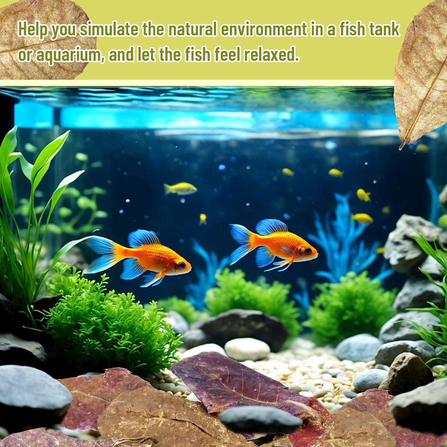 100 Hojas de Catappa Naturales para Peces LeonBach 5-8 cm