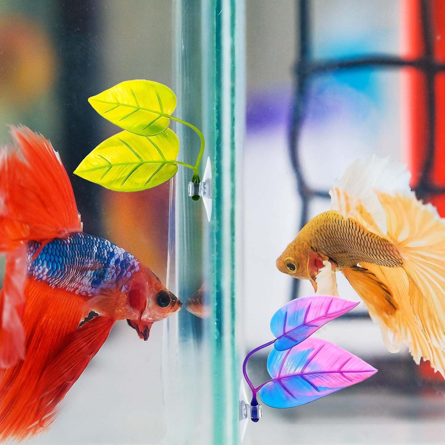 Hamaca para Peces Betta Classicseali 4PCS Ecológica Verde