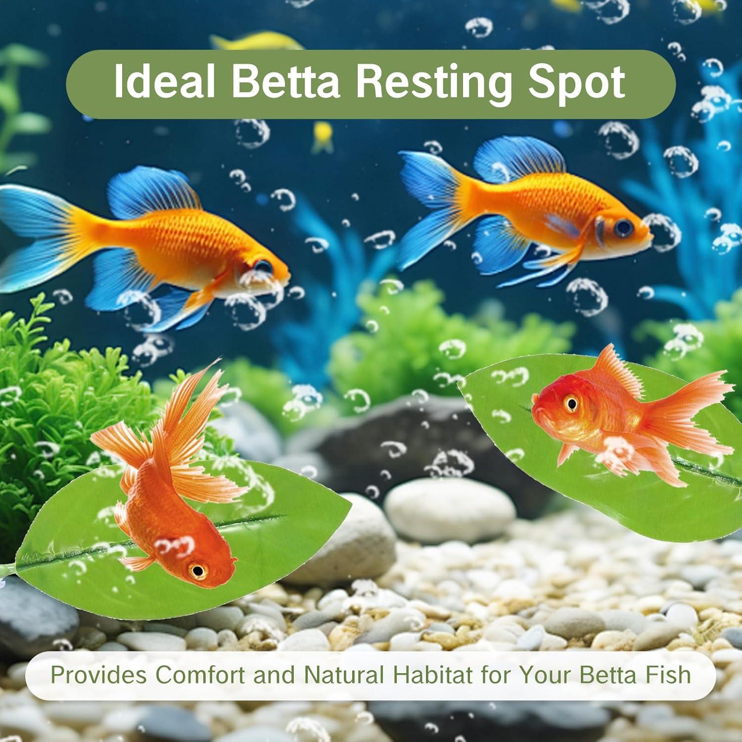 Hamaca de Hoja para Betta YKEBVPW - 4 Piezas Flotantes