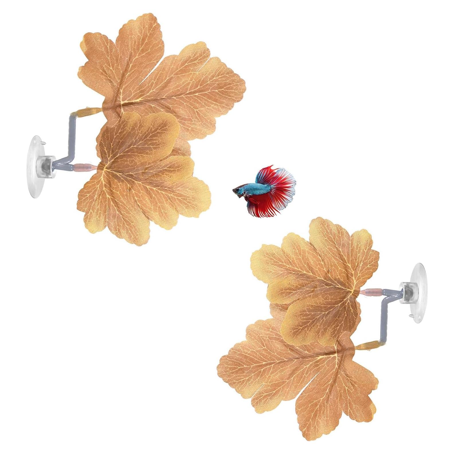 Hojas de descanso para peces Betta M METERXITY - 2 unidades