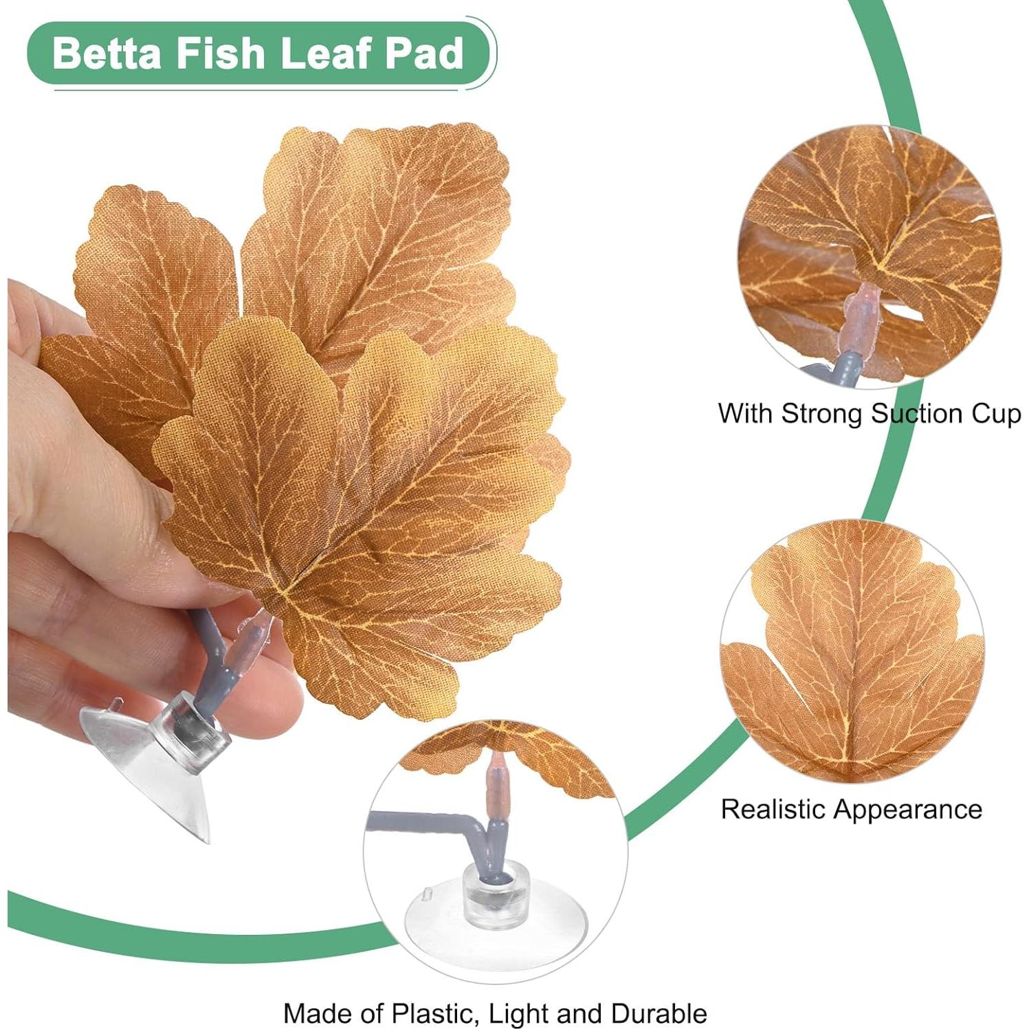 Hojas de descanso para peces Betta M METERXITY - 2 unidades