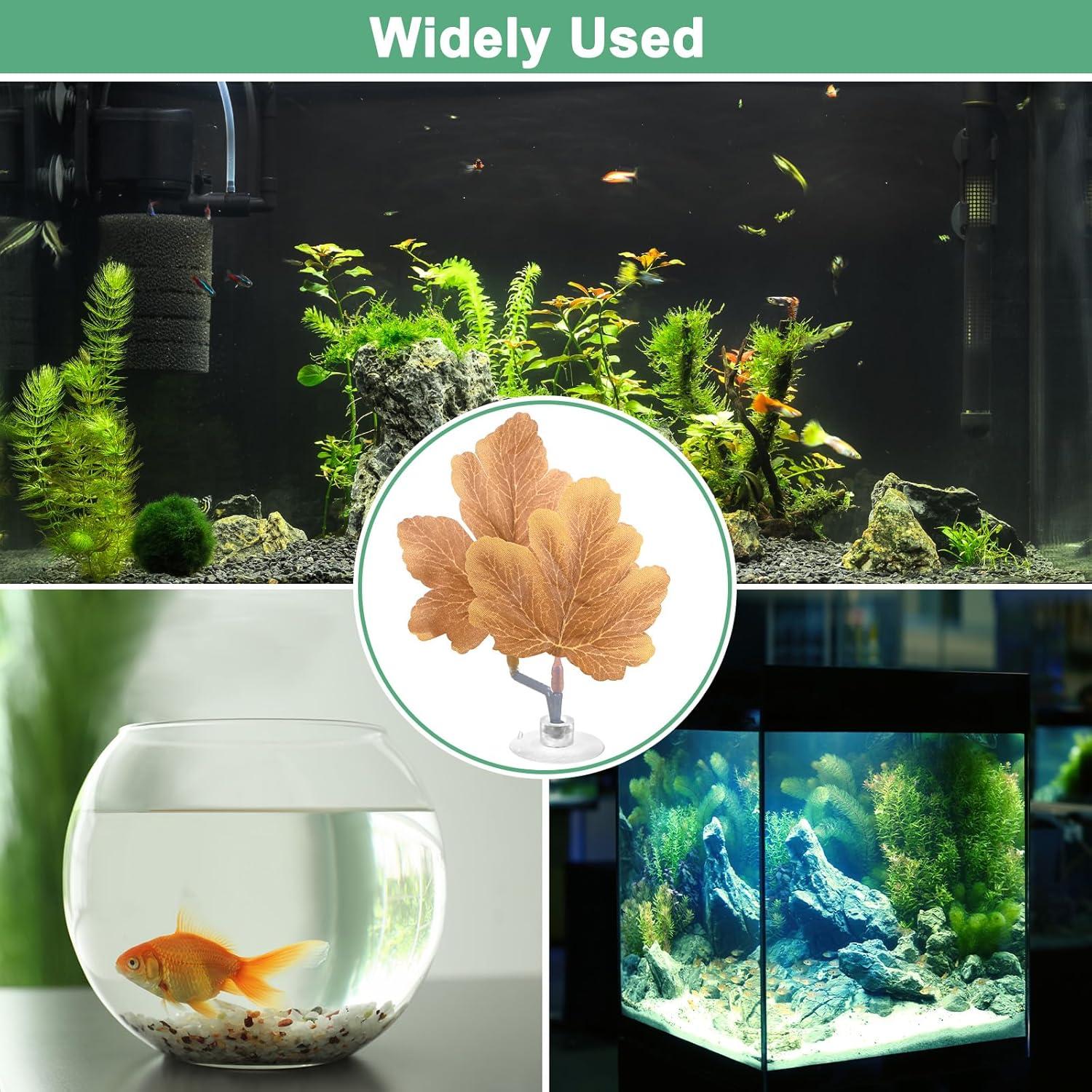 Hojas de descanso para peces Betta M METERXITY - 2 unidades