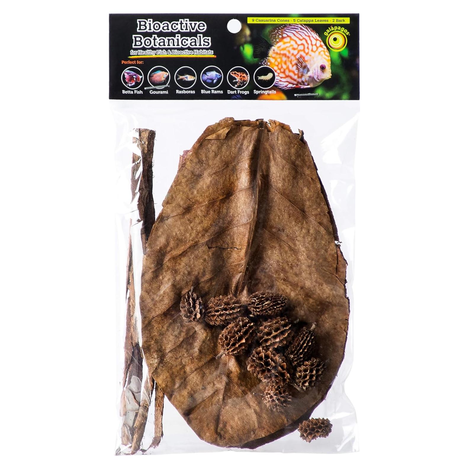 Kit de Botánicos Bioactivos Galápagos - 9 Conos Casuarina y 5 Hojas Catappa