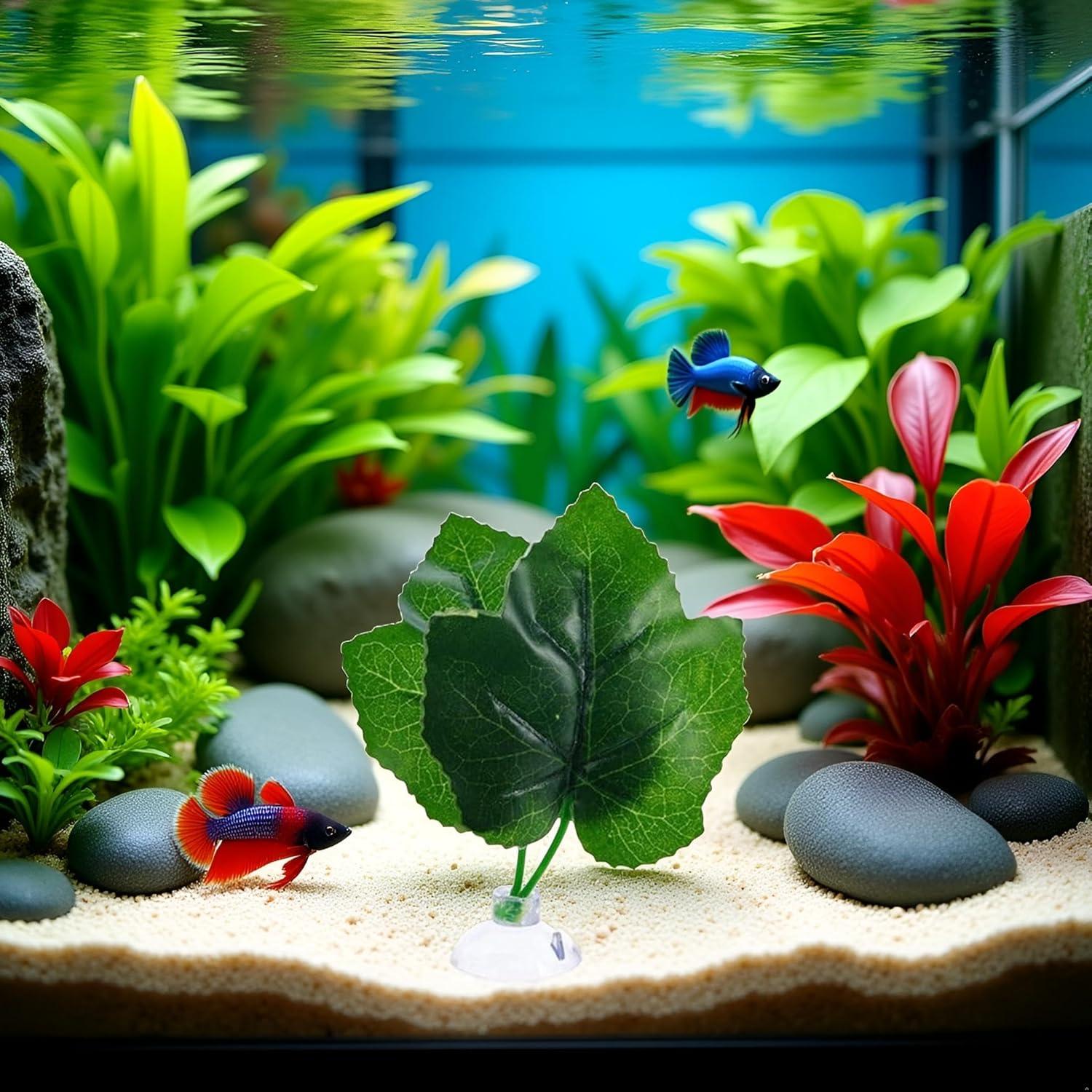 Hamaca Acuática para Peces Betta Rosojodg con Ventosa Verde