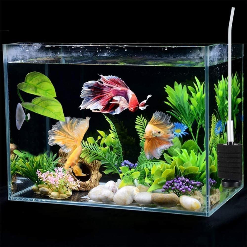 Hamaca Acuática para Peces Betta Rosojodg con Ventosa Verde