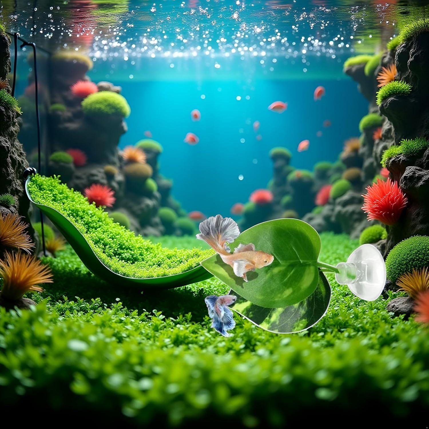 Hamaca Acuática para Peces Betta Rosojodg con Ventosa Verde