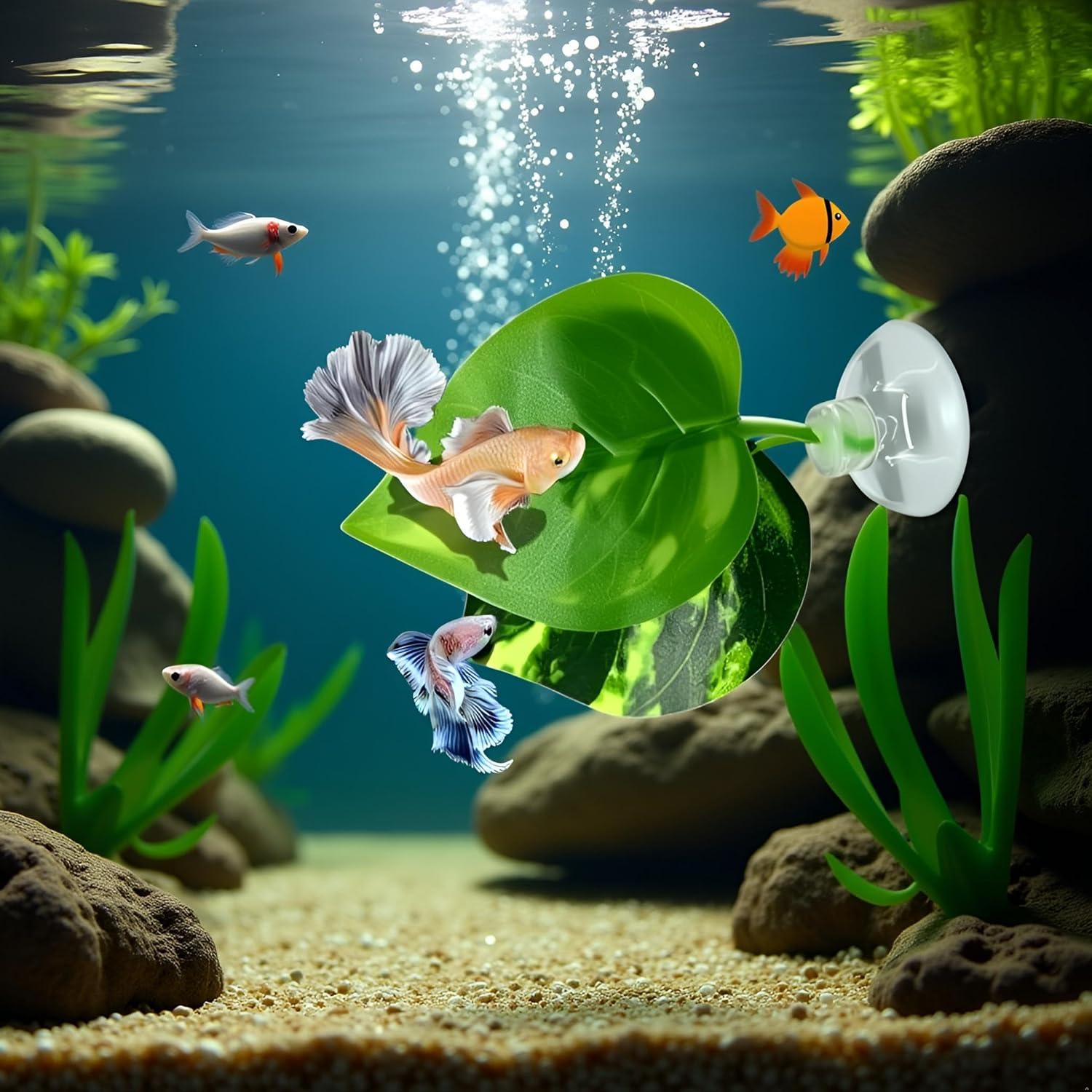 Hamaca Acuática para Peces Betta Rosojodg con Ventosa Verde