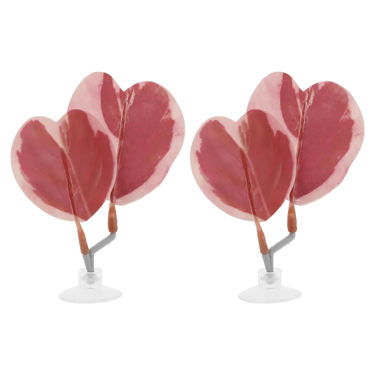 Cama para Betta CAPASTEC Rosa 2 Pcs con Ventosas 9x6cm