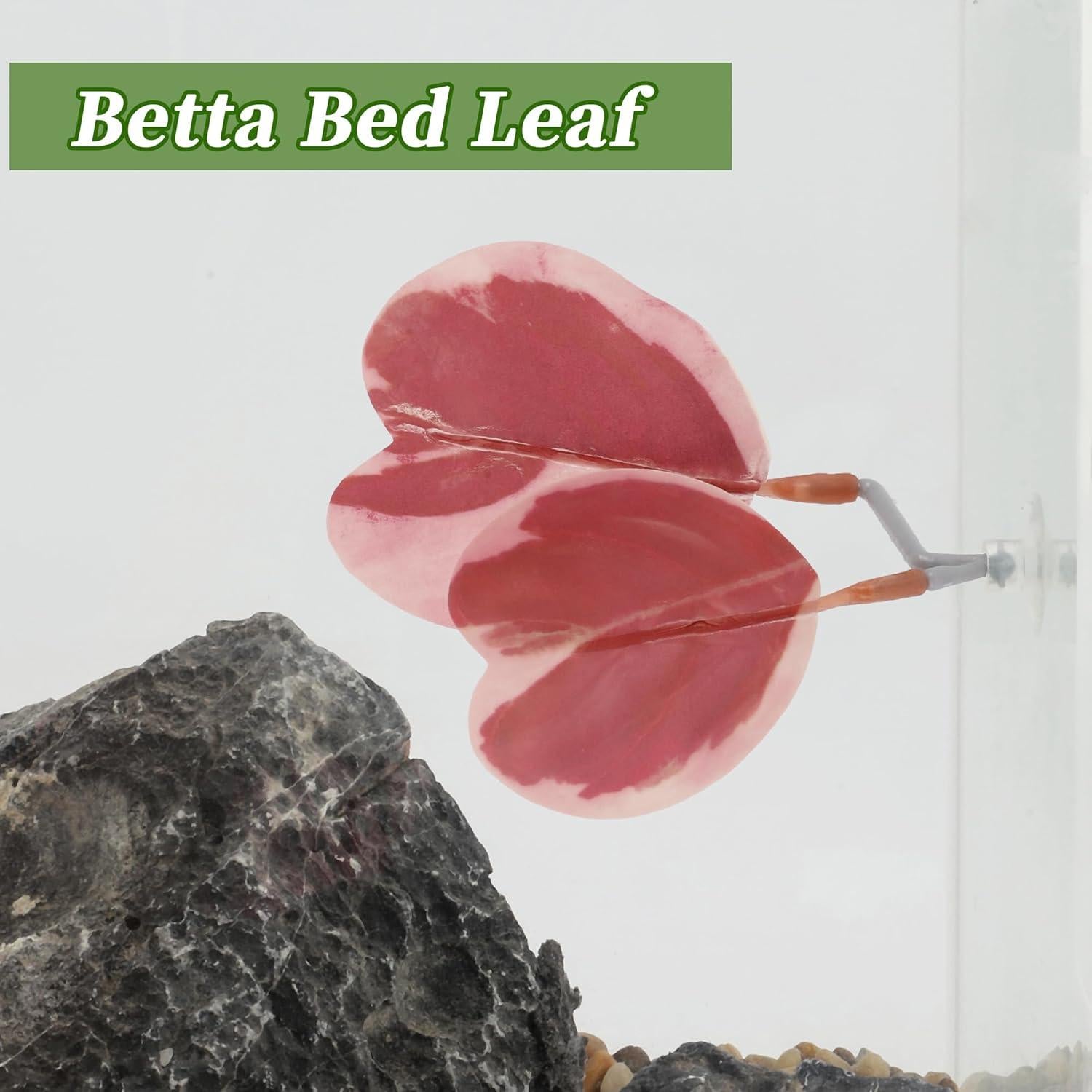 Cama para Betta CAPASTEC Rosa 2 Pcs con Ventosas 9x6cm