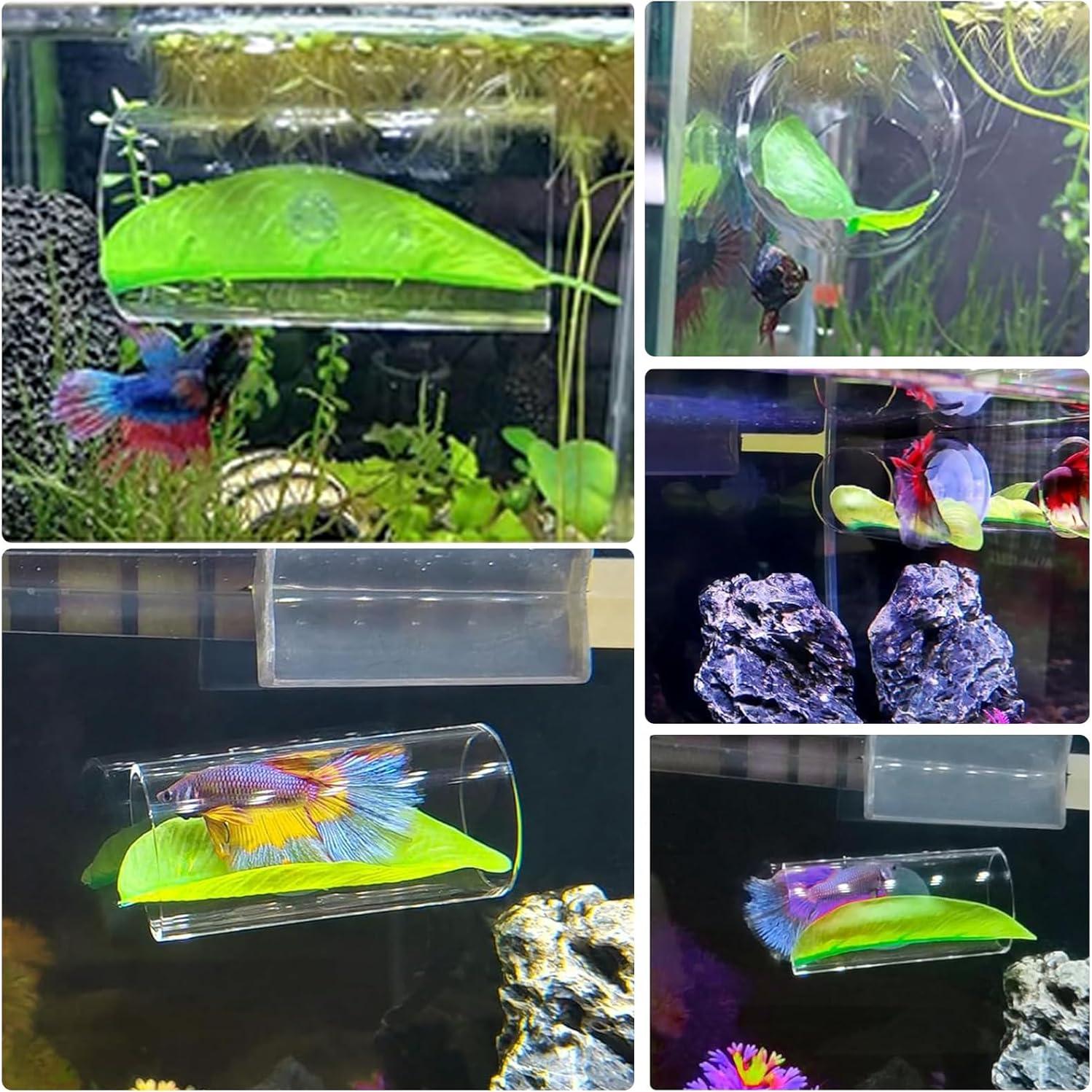 2 Túneles de Acrílico Transparente Asofelk para Peces Betta