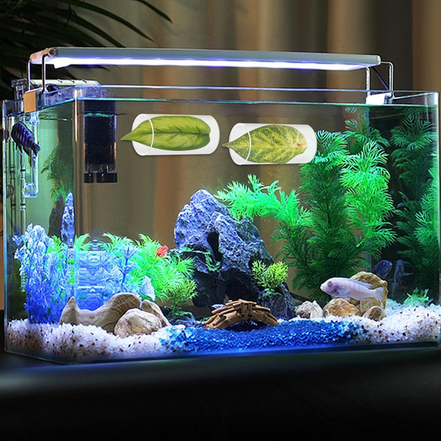 2 Túneles de Acrílico Transparente Asofelk para Peces Betta