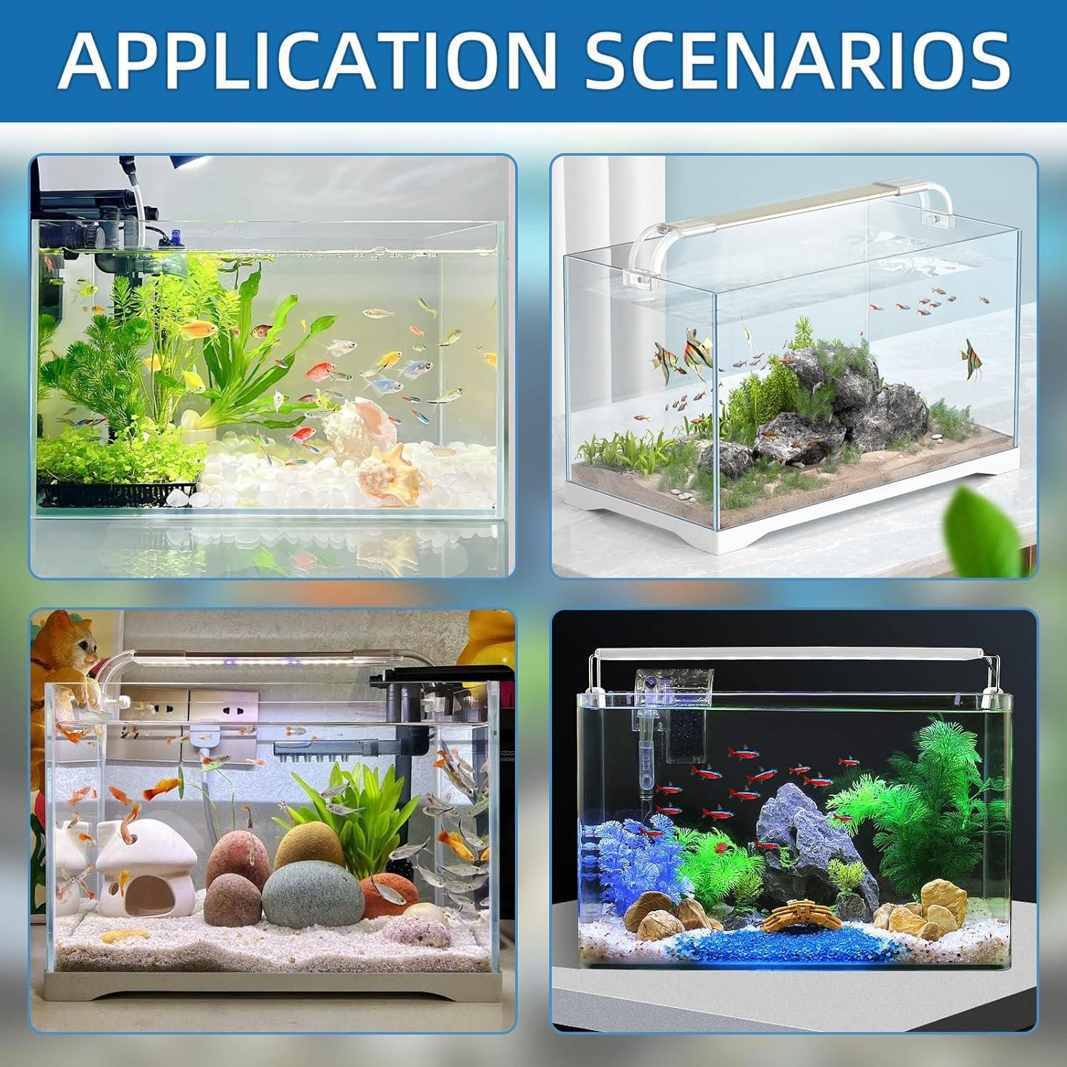 2 Túneles de Acrílico Transparente Asofelk para Peces Betta