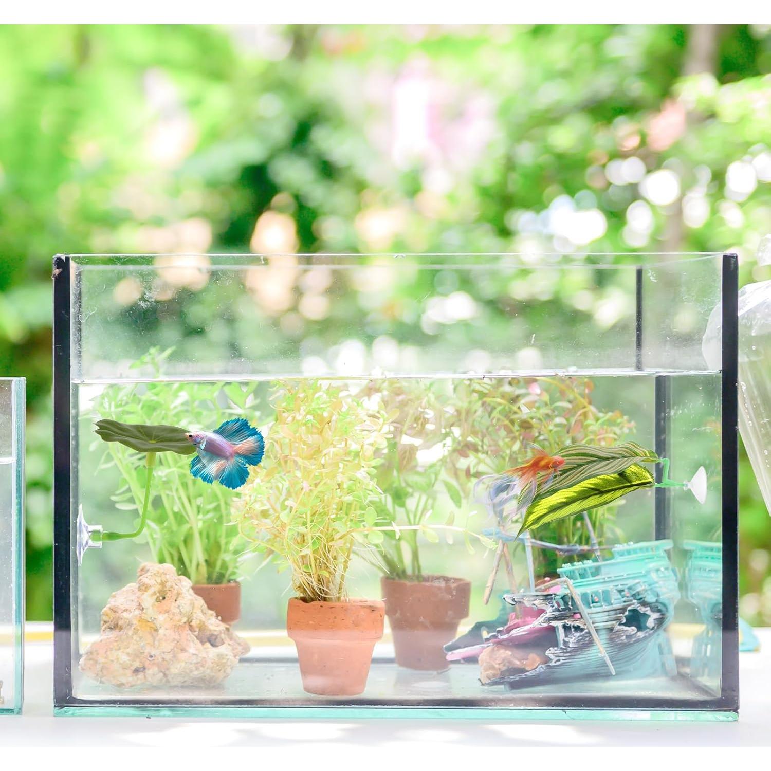 5 Accesorios para Acuario Betta QfwdfcTrenz - Hamaca y Decoración