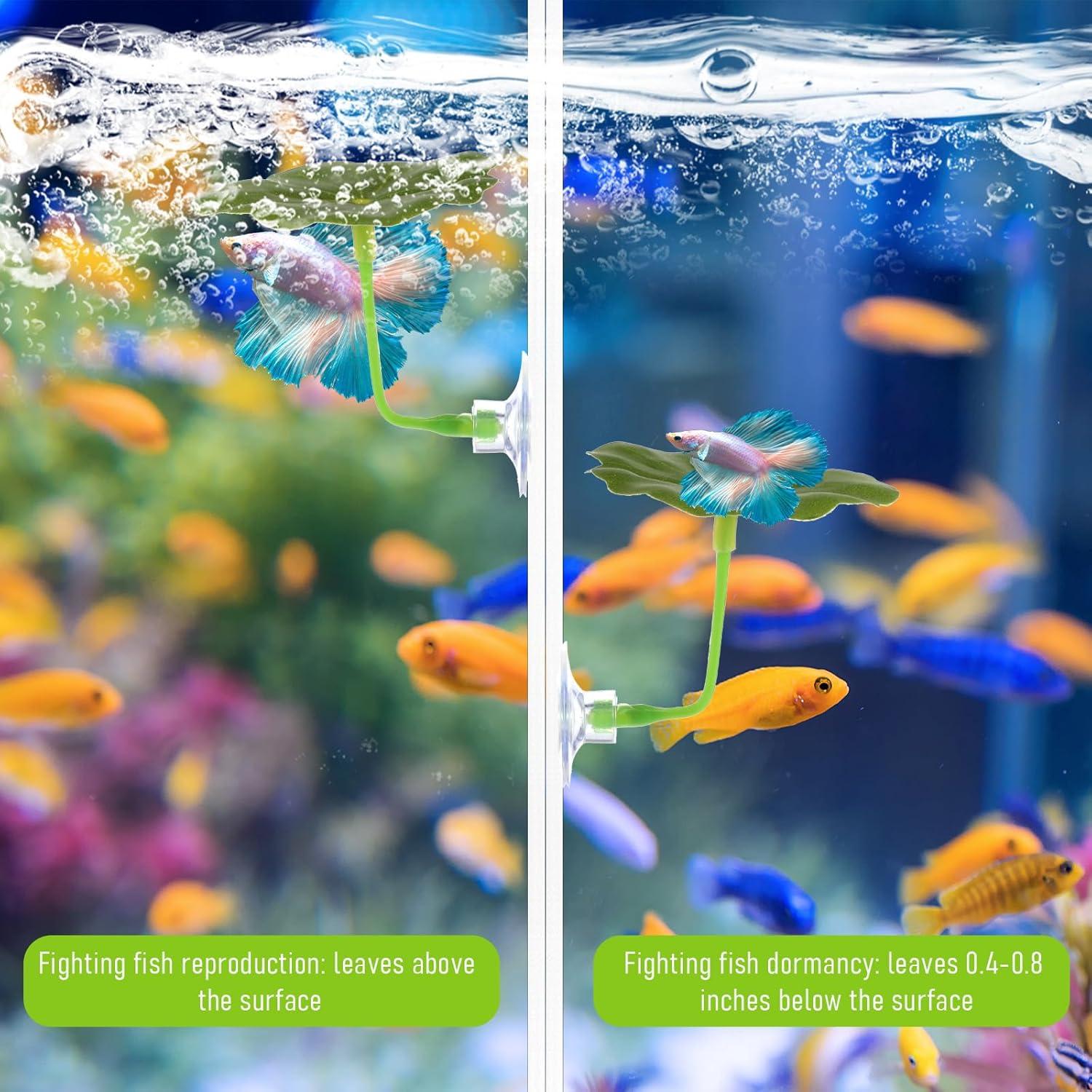 5 Accesorios para Acuario Betta QfwdfcTrenz - Hamaca y Decoración