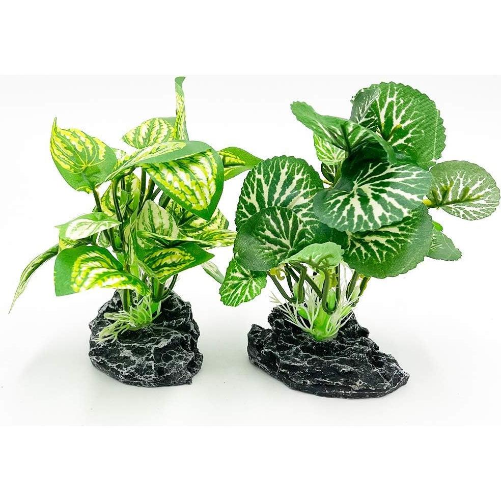 Plantas Artificiales para Acuario Smoothedo 10cm 2pcs Verde