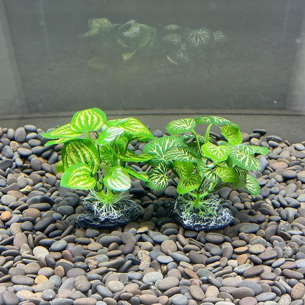 Plantas Artificiales para Acuario Smoothedo 10cm 2pcs Verde