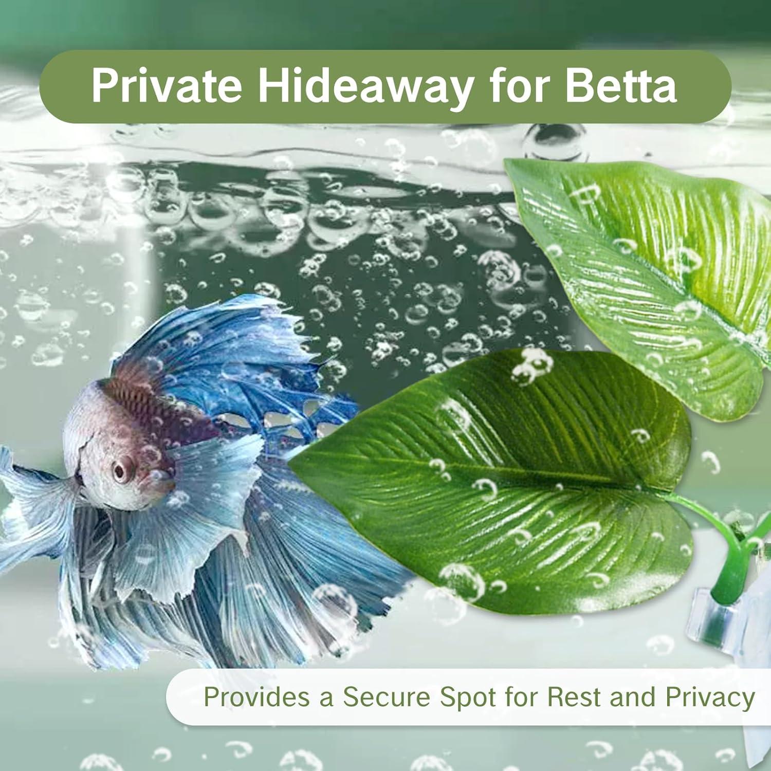 Hamacas de Hoja y Anillo para Peces Betta YKEBVPW
