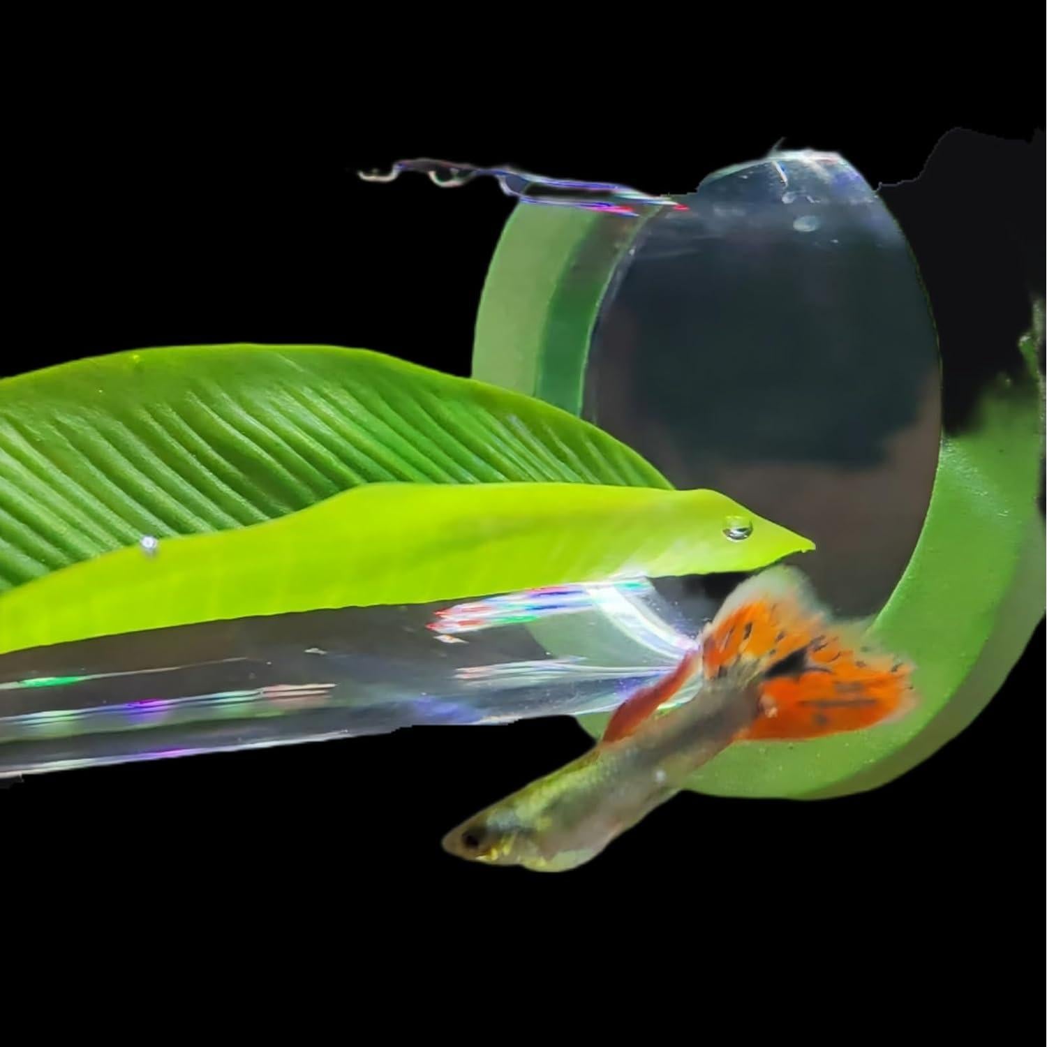 Suspended Acrylic Tube Tunnel,Acrylic Betta Bed, Betta Leaf mat breeding and Resting Bed simulating The Natural Habitat of Betta spawning Grounds, Betta Toy shelter