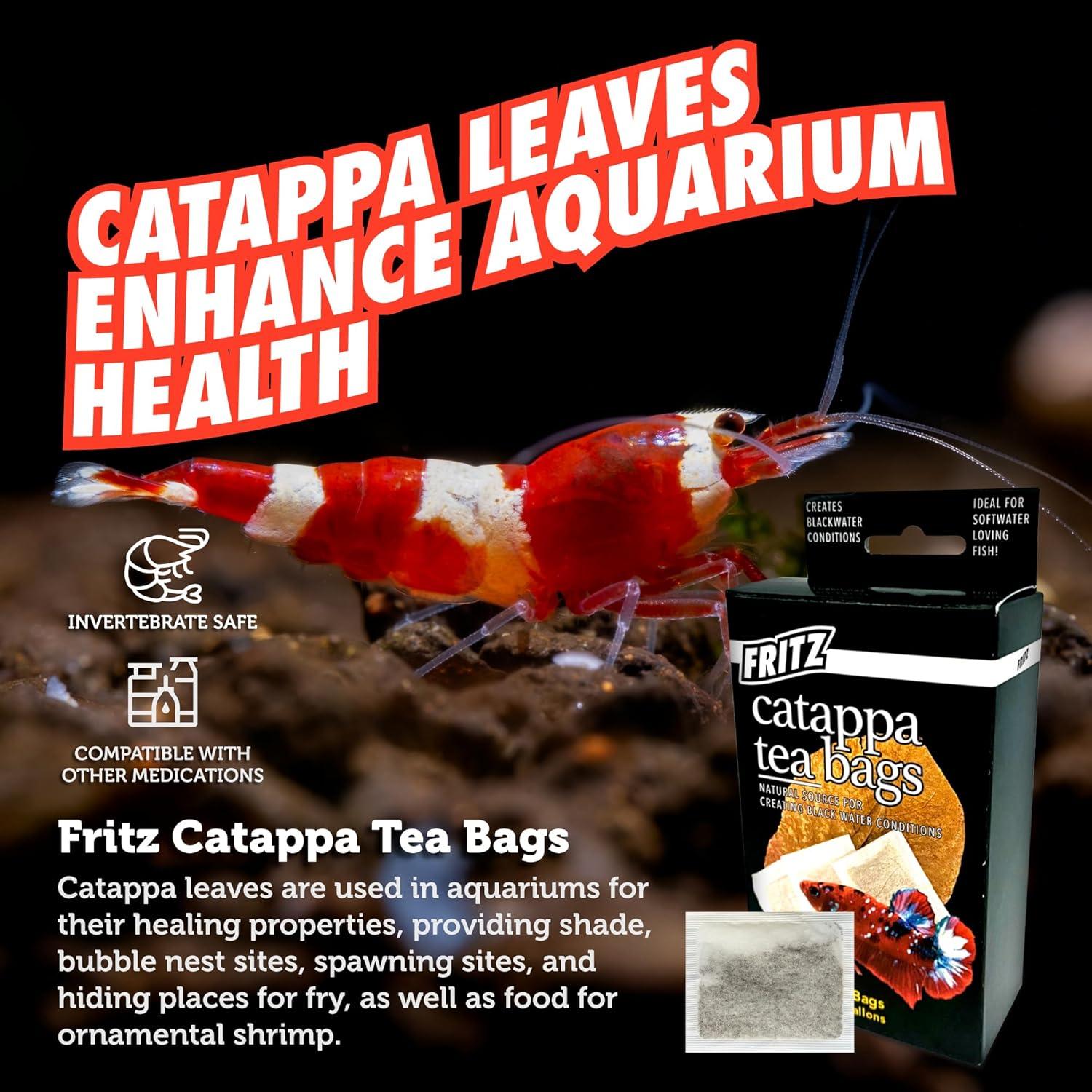 Bolsitas de Té Catappa Fritz Aquatics para Acuarios Betta - 10 Unidades