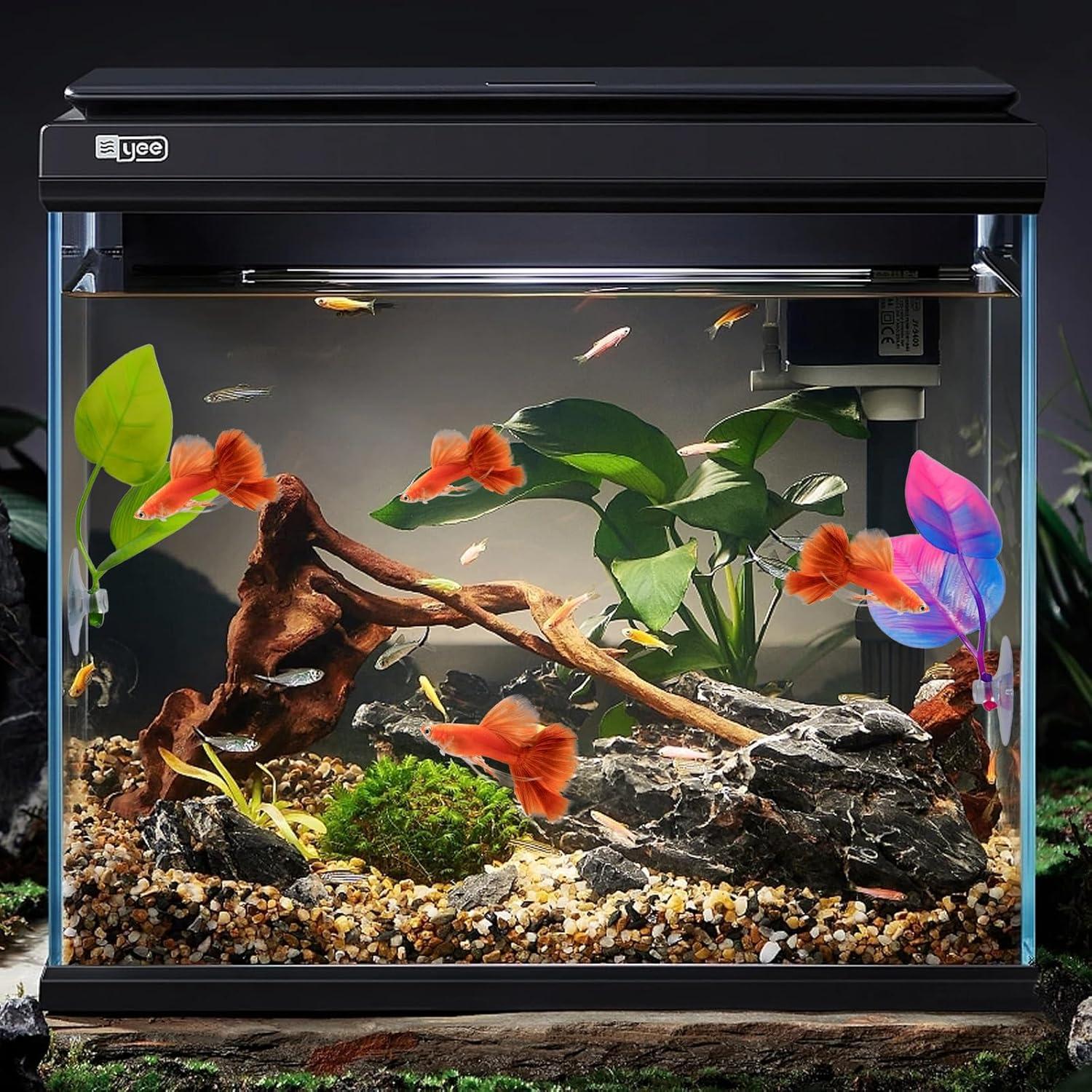 Accesorios para Acuario PKRFCJ - Hamacas para Peces Betta 4 Pcs