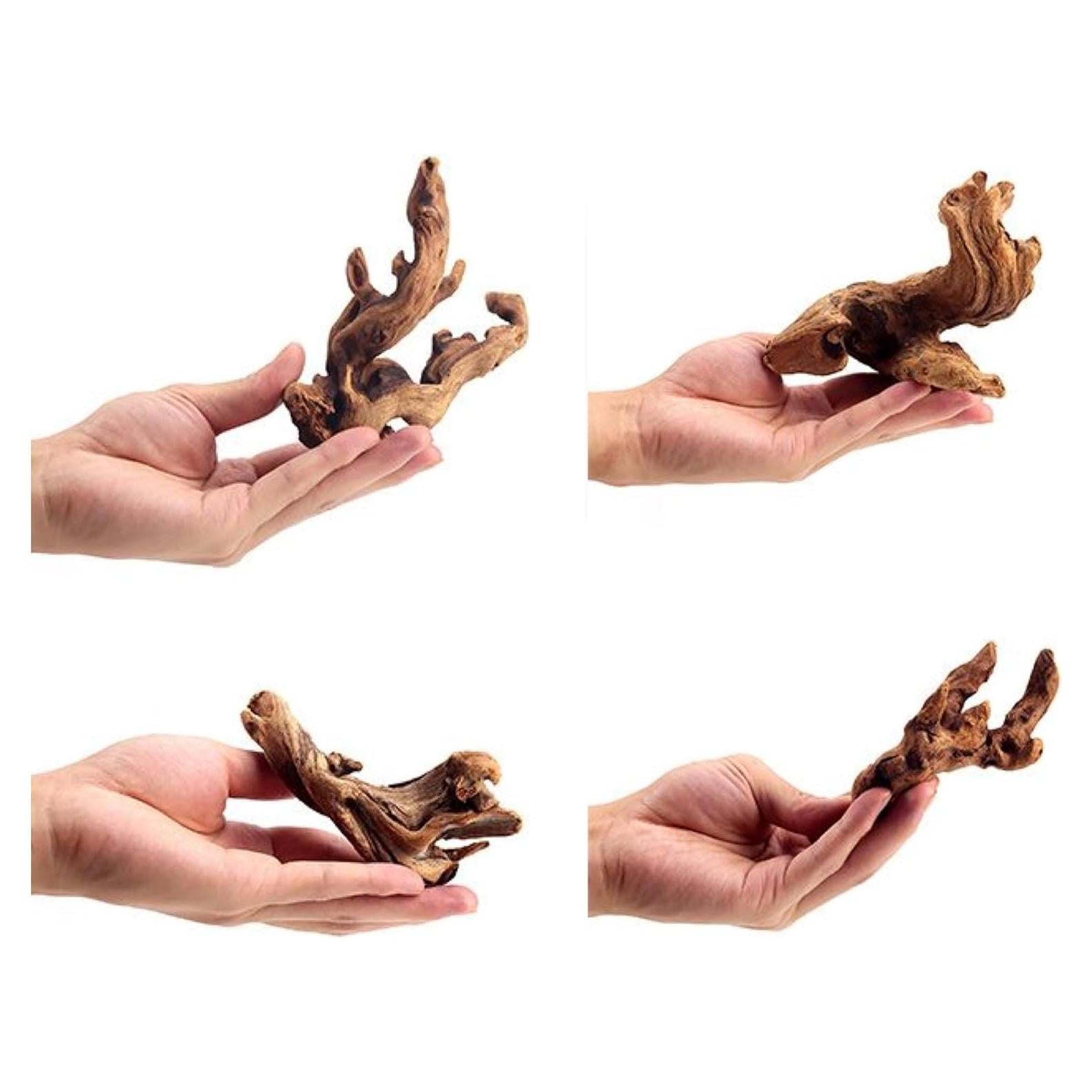 Madera Flotante Natural para Acuario y Reptiles 10-15cm - 4 Piezas