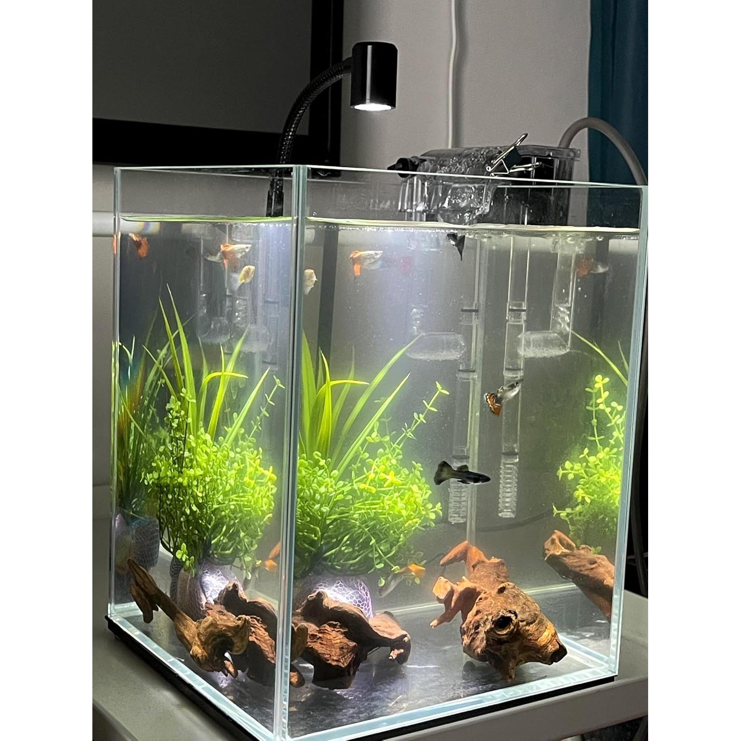 Madera Flotante Natural para Acuario y Reptiles 10-15cm - 4 Piezas