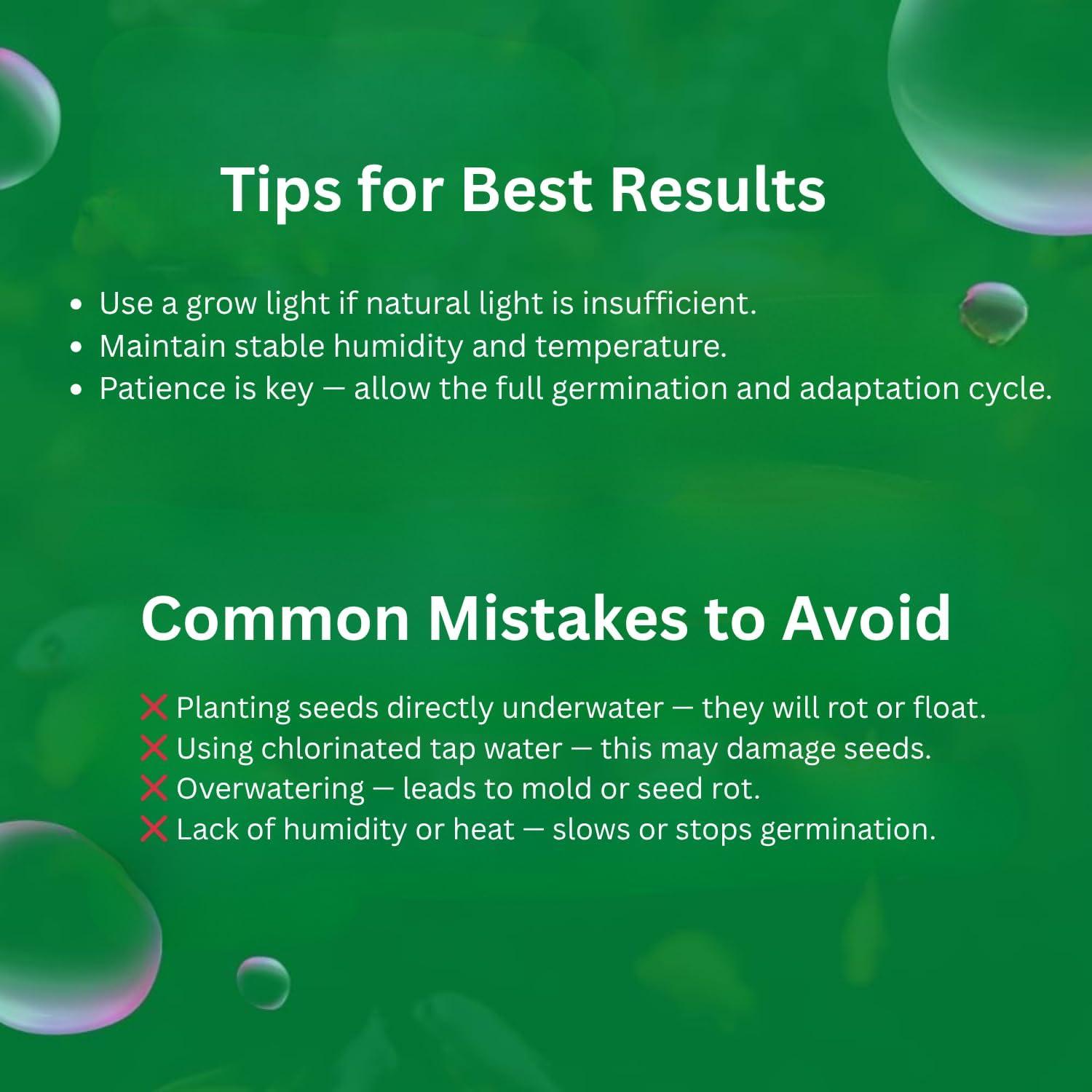 Semillas de Planta Acuática Genérica - Hierba de la Suerte 9g