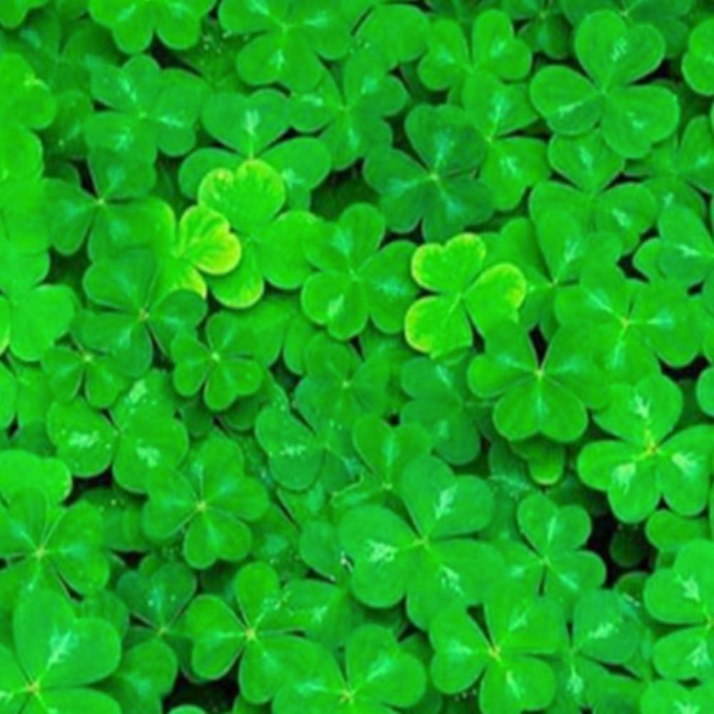 Semillas de Planta Acuática Genérica - Hierba de la Suerte 9g