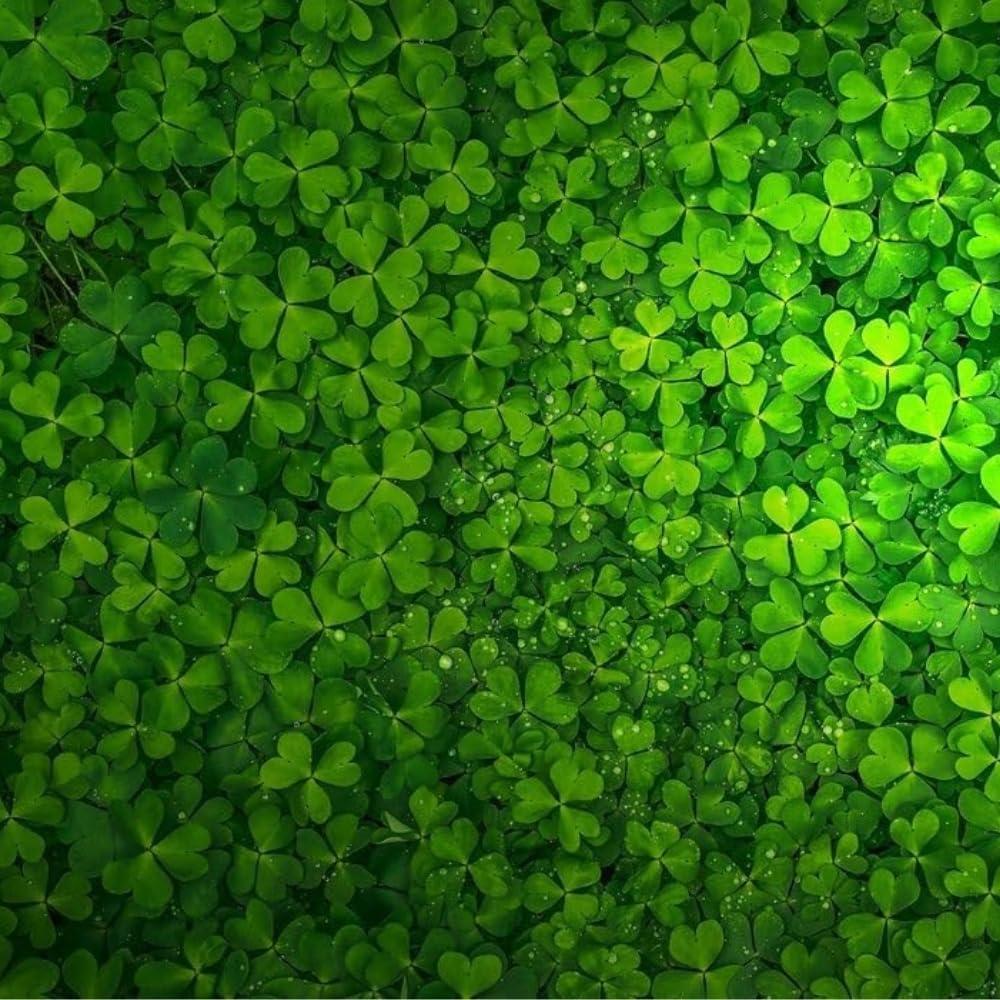 Semillas de Planta Acuática Genérica - Hierba de la Suerte 9g