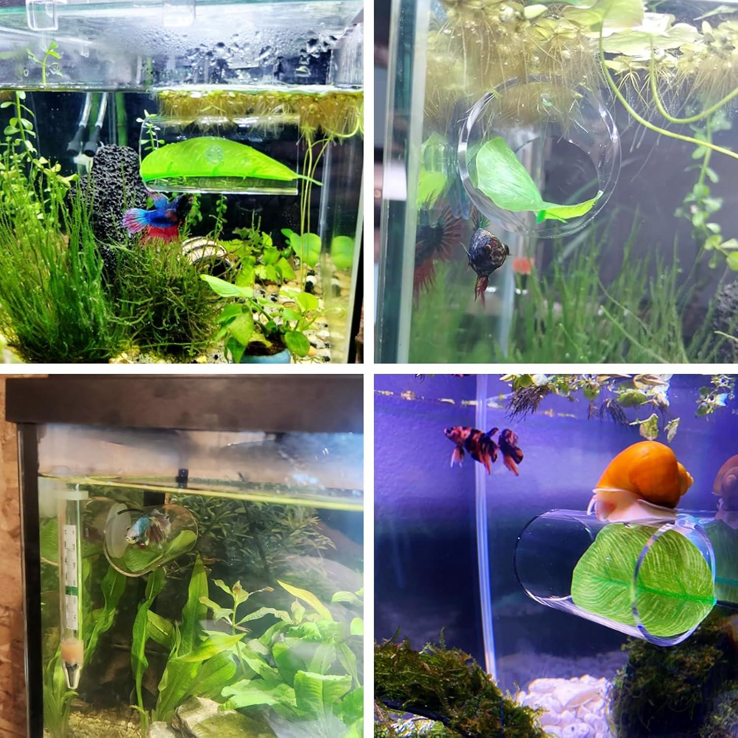 Túnel de Tubo para Peces Betta NANEEZOO con Ventosa 7.8cm