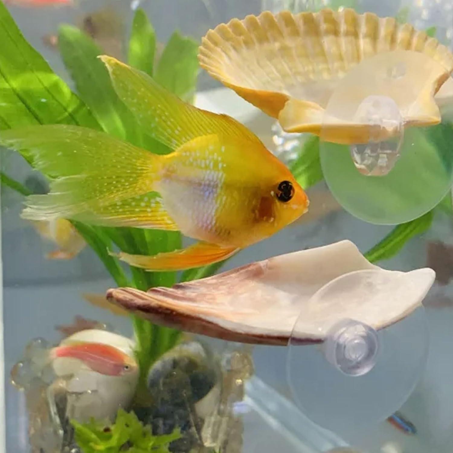 Paquete de 2 Casas de Descanso para Peces Betta Oncpcare