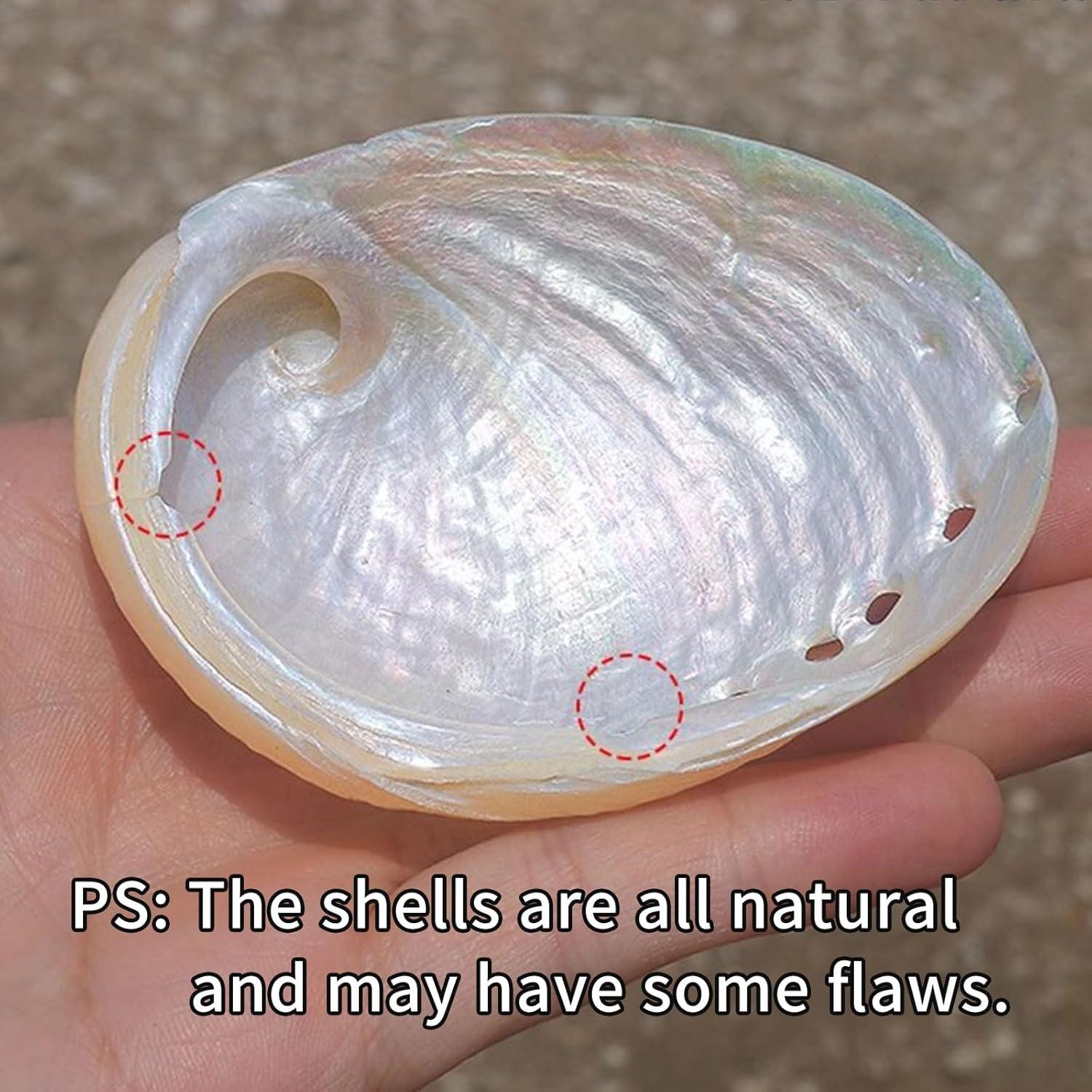 Paquete de 2 Casas de Descanso para Peces Betta Oncpcare