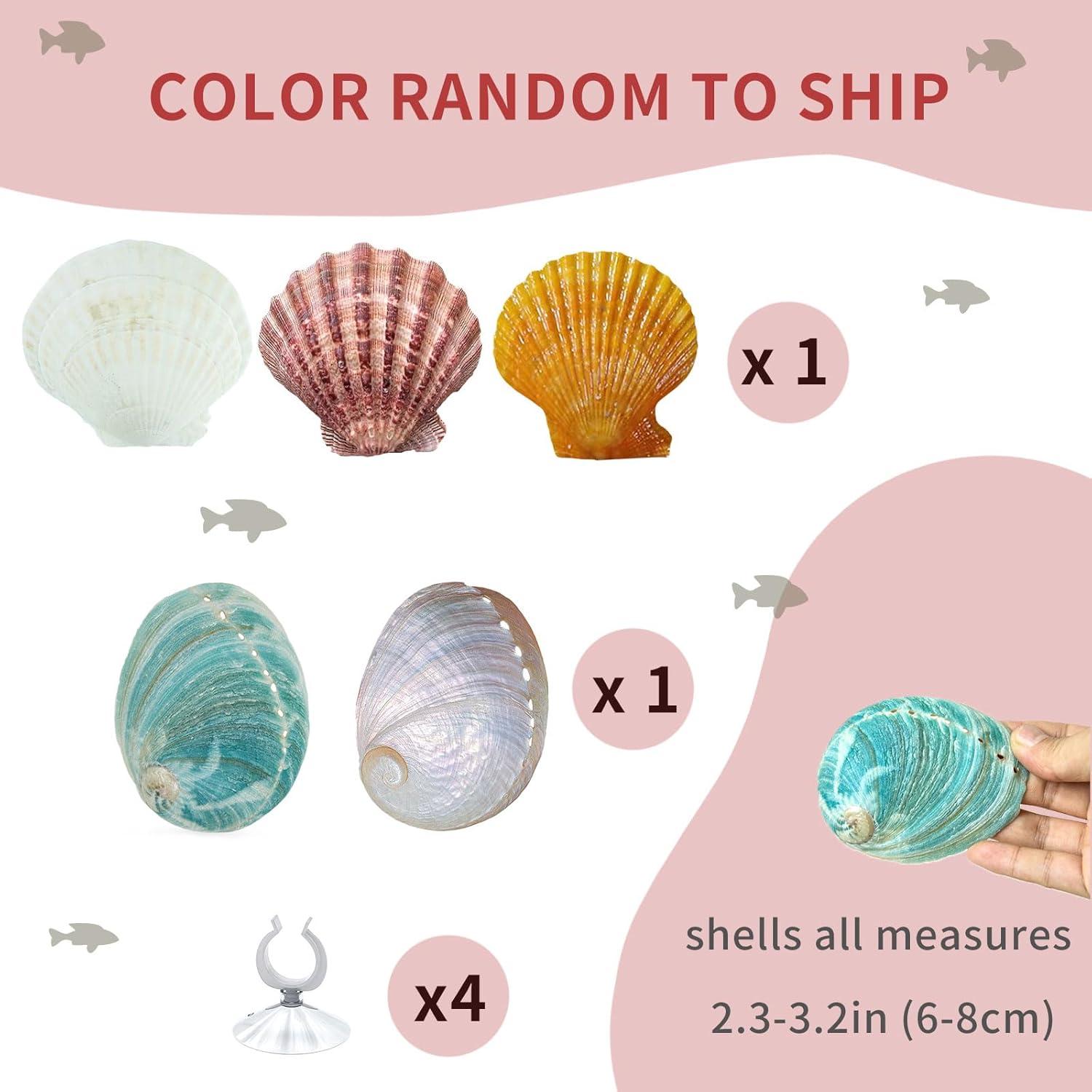 Paquete de 2 Casas de Descanso para Peces Betta Oncpcare