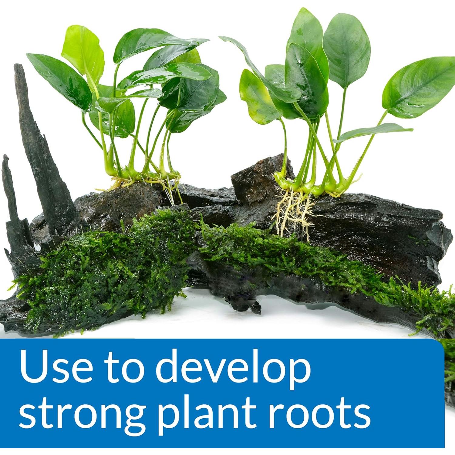 Fertilizante para Plantas de Acuario API ROOT TABS 10 Tablet 28.93g