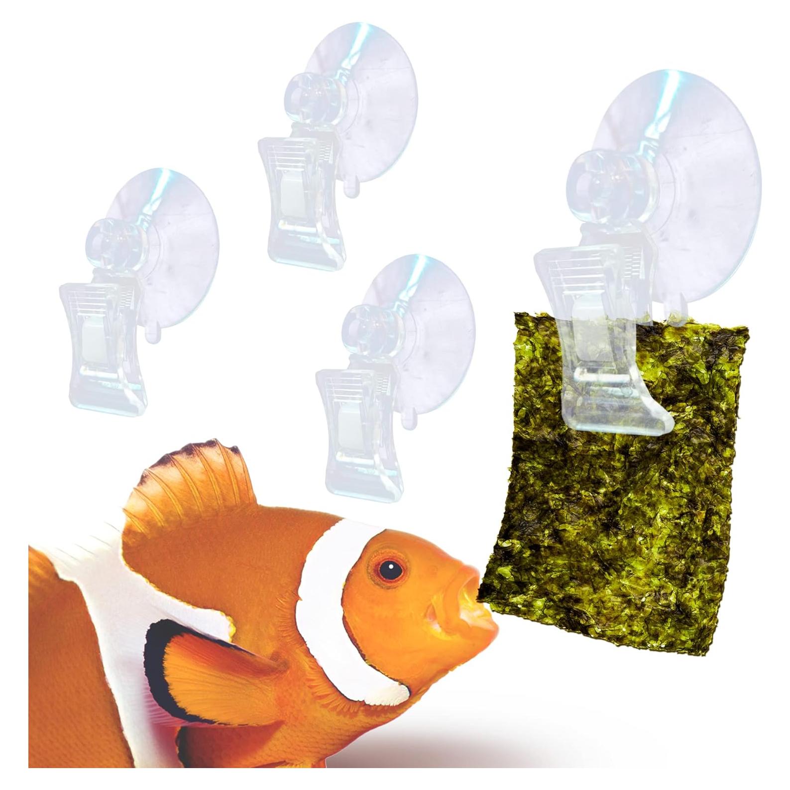 Paquete de 4 Clips de Ventosa JOR para Acuarios 5 cm